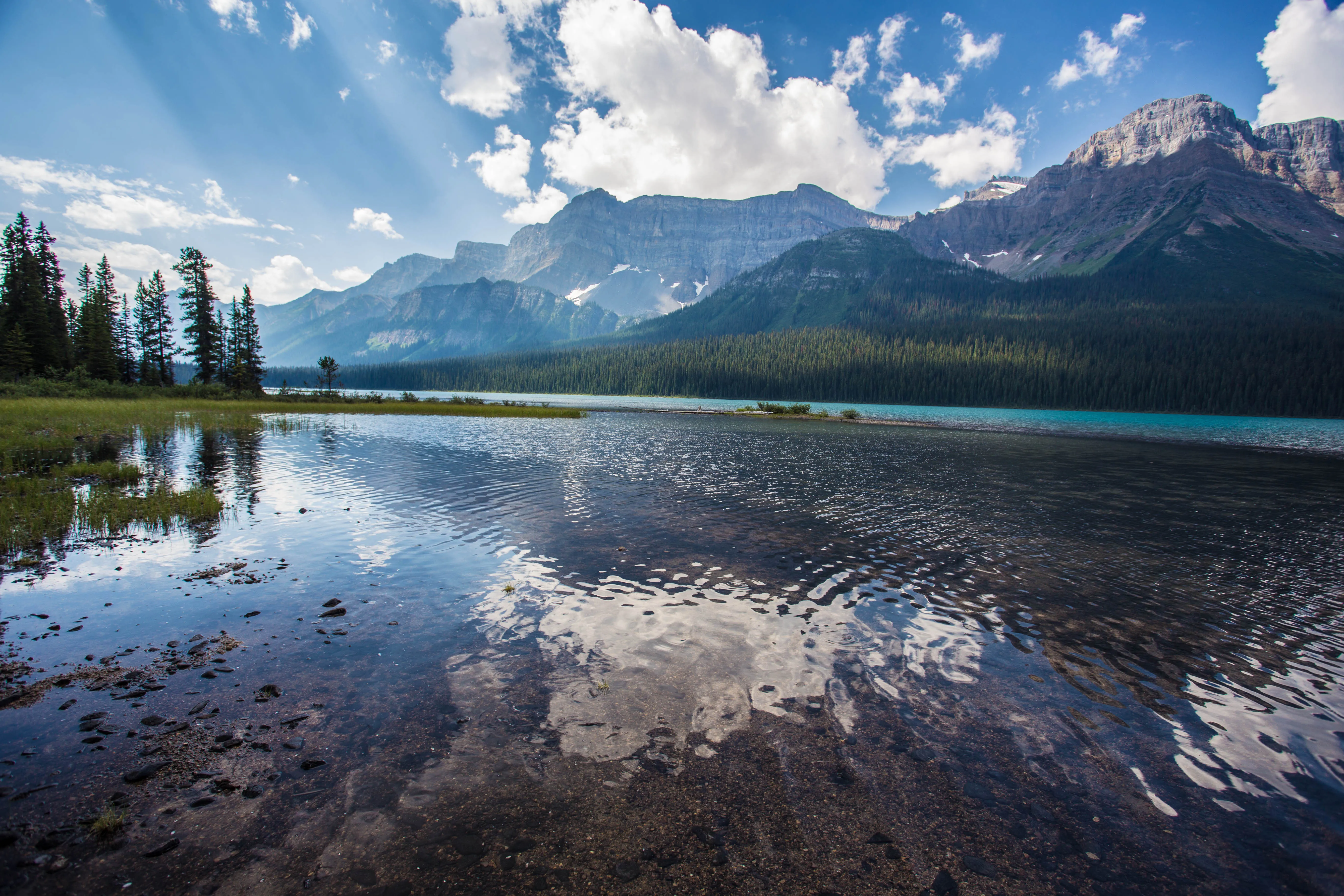 Hike to Hector Lake