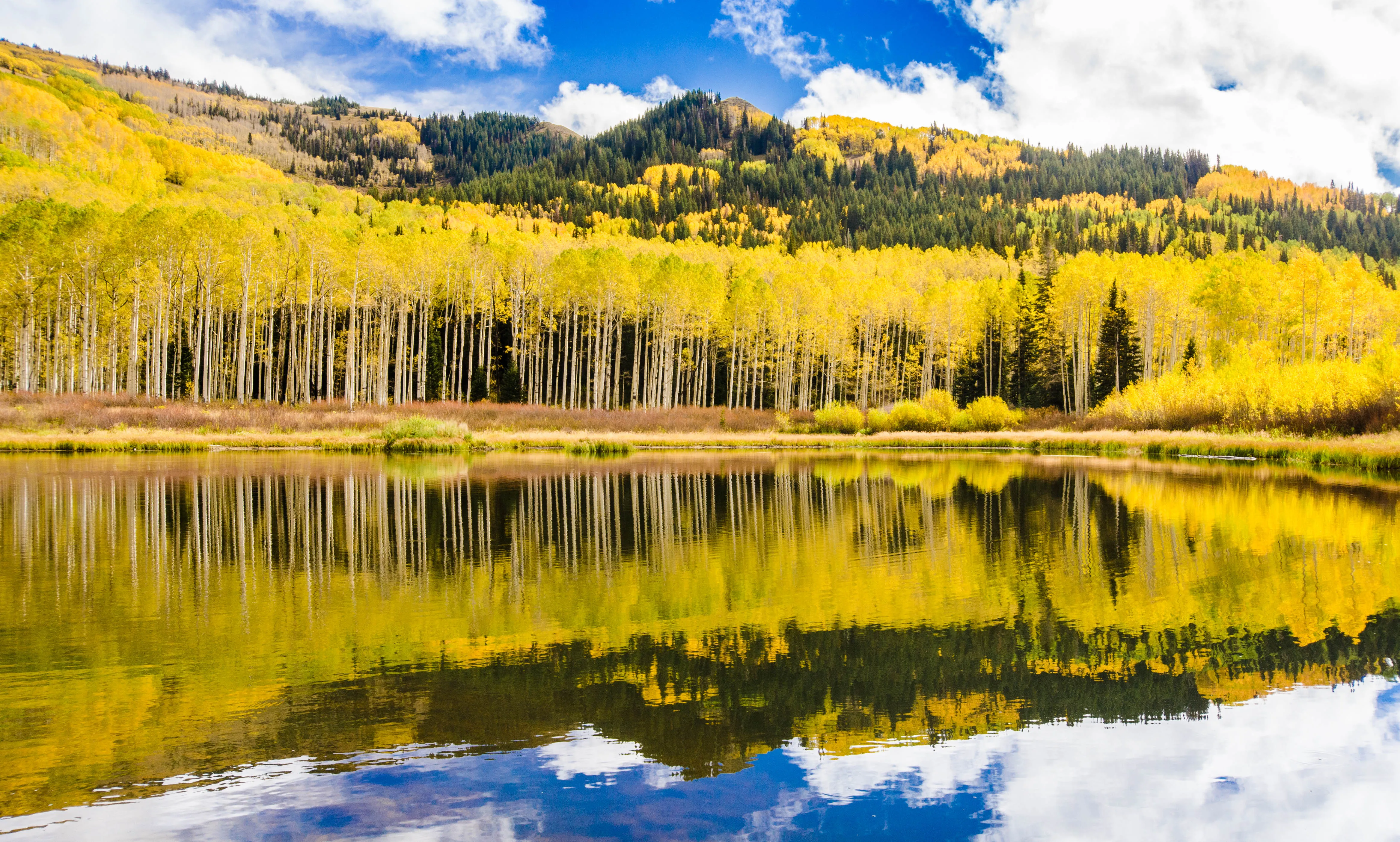 Willow Lake