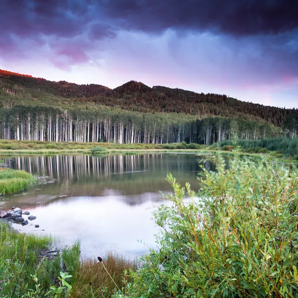 Camp at Willow Lake