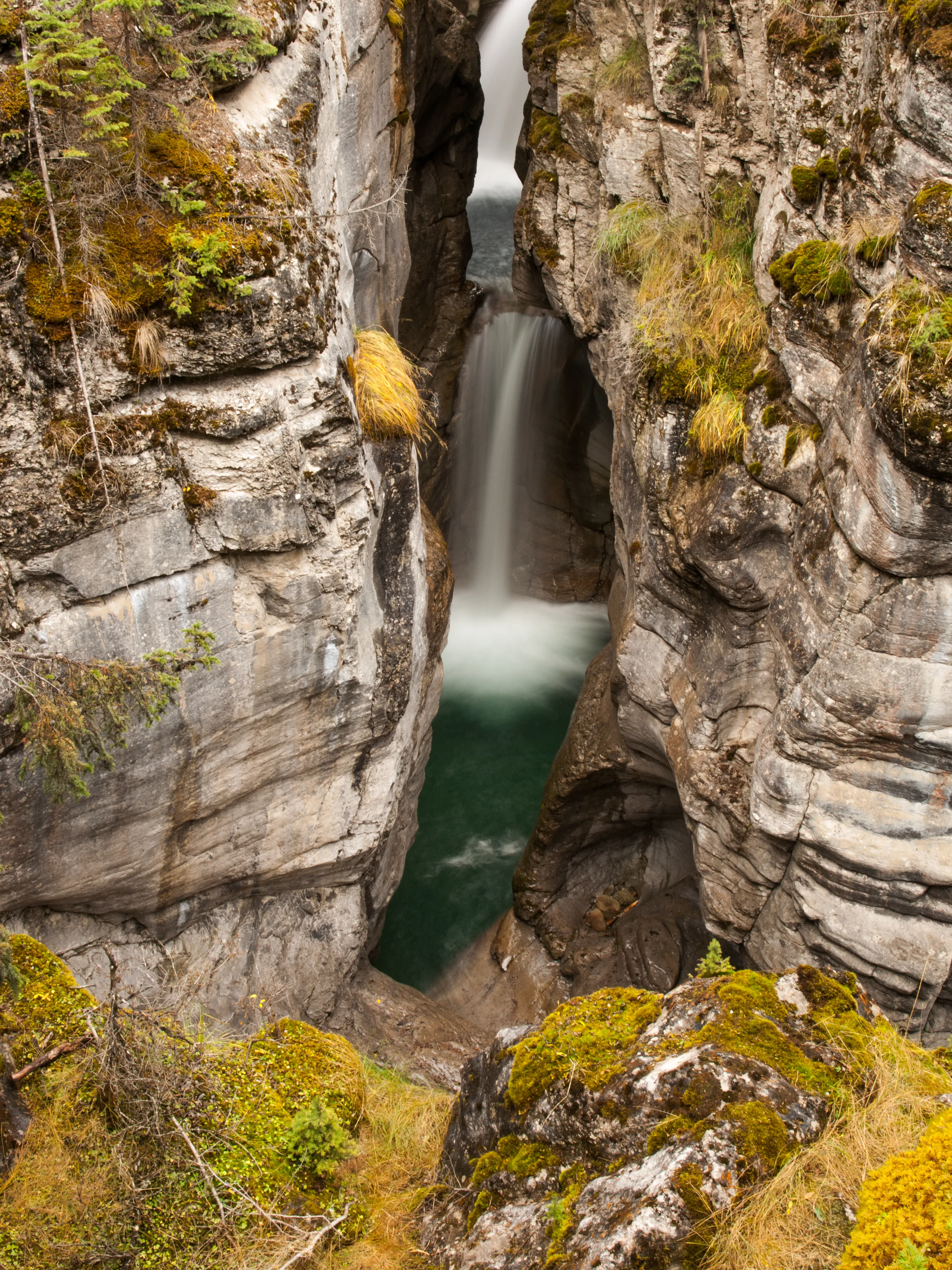 Maligne Canyon