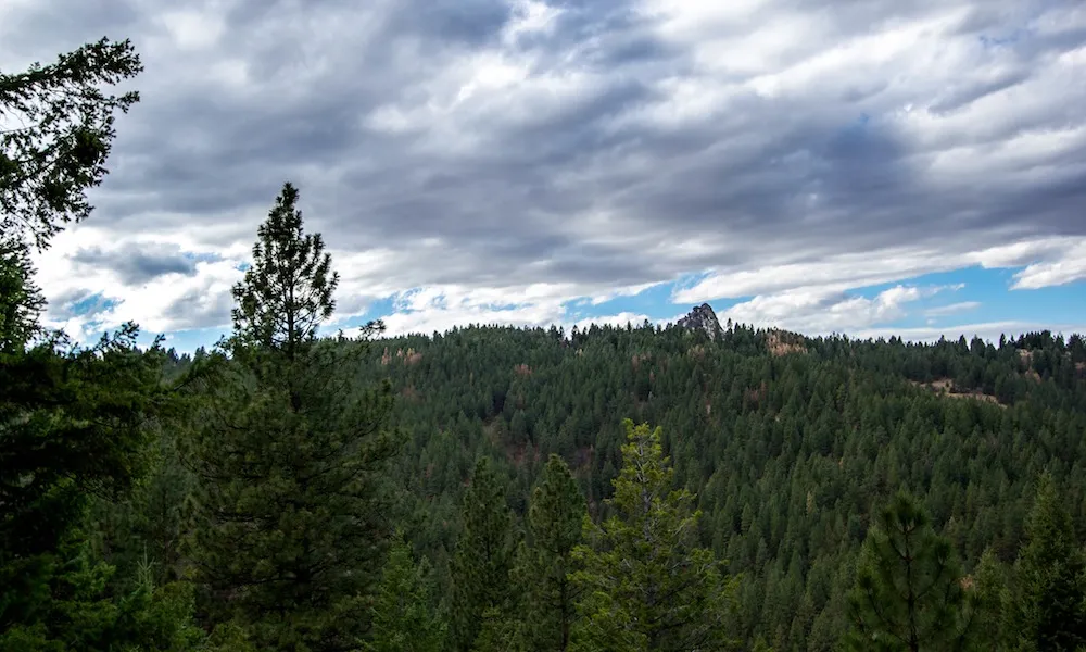 Freddy's Stack Rock Loop