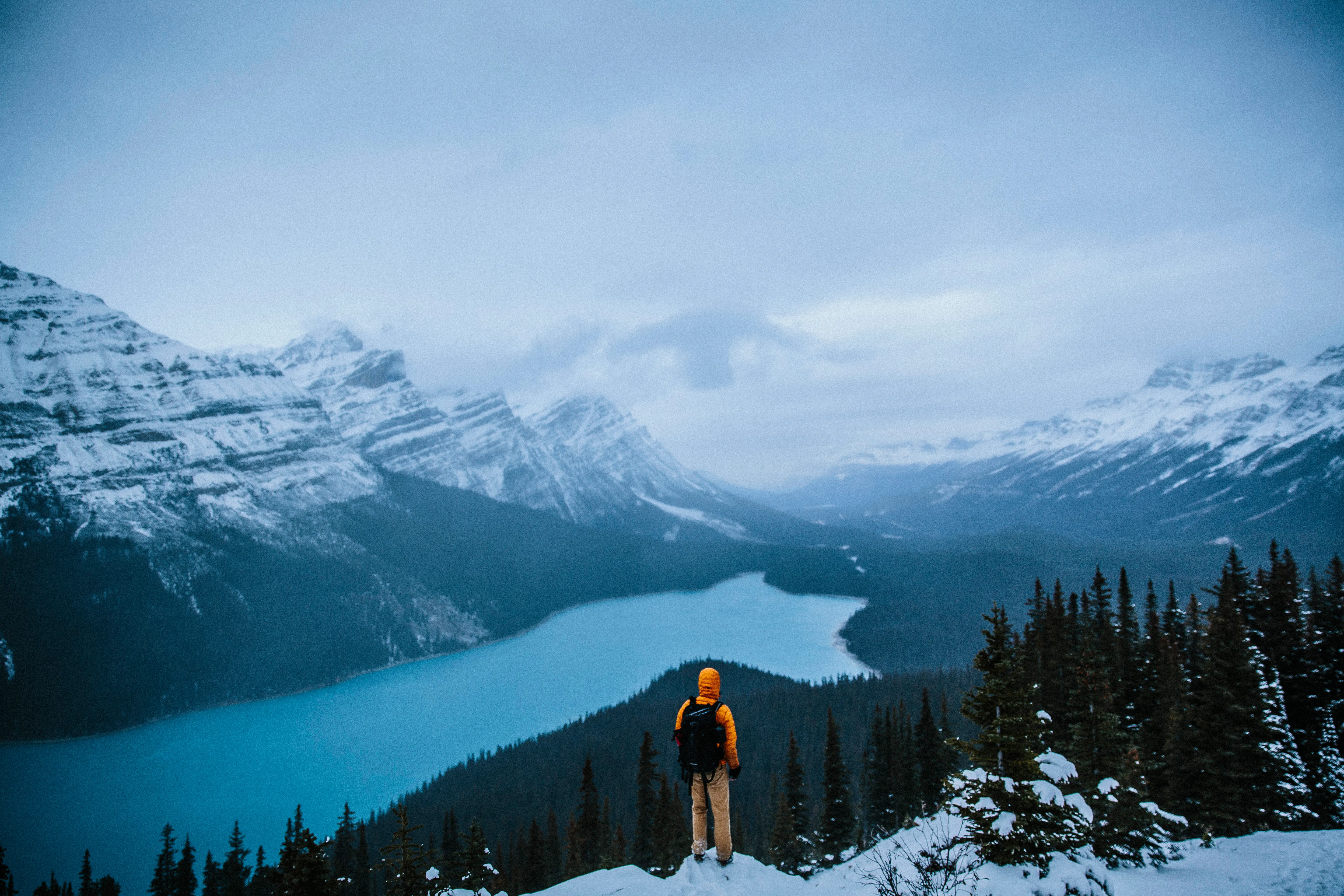 Drive the Icefields Parkway