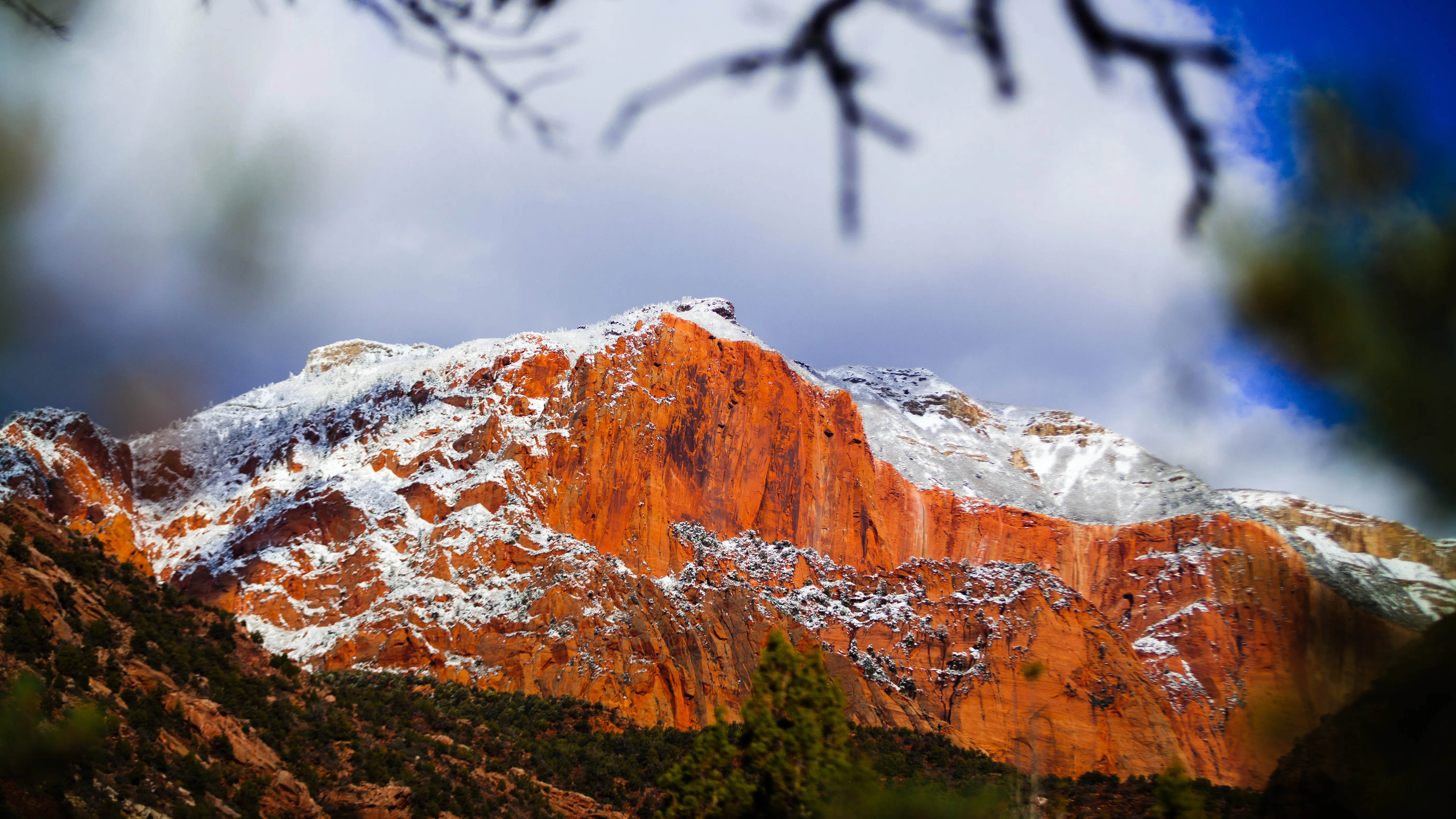 Middle Fork Taylor Creek in Kolob Canyon
