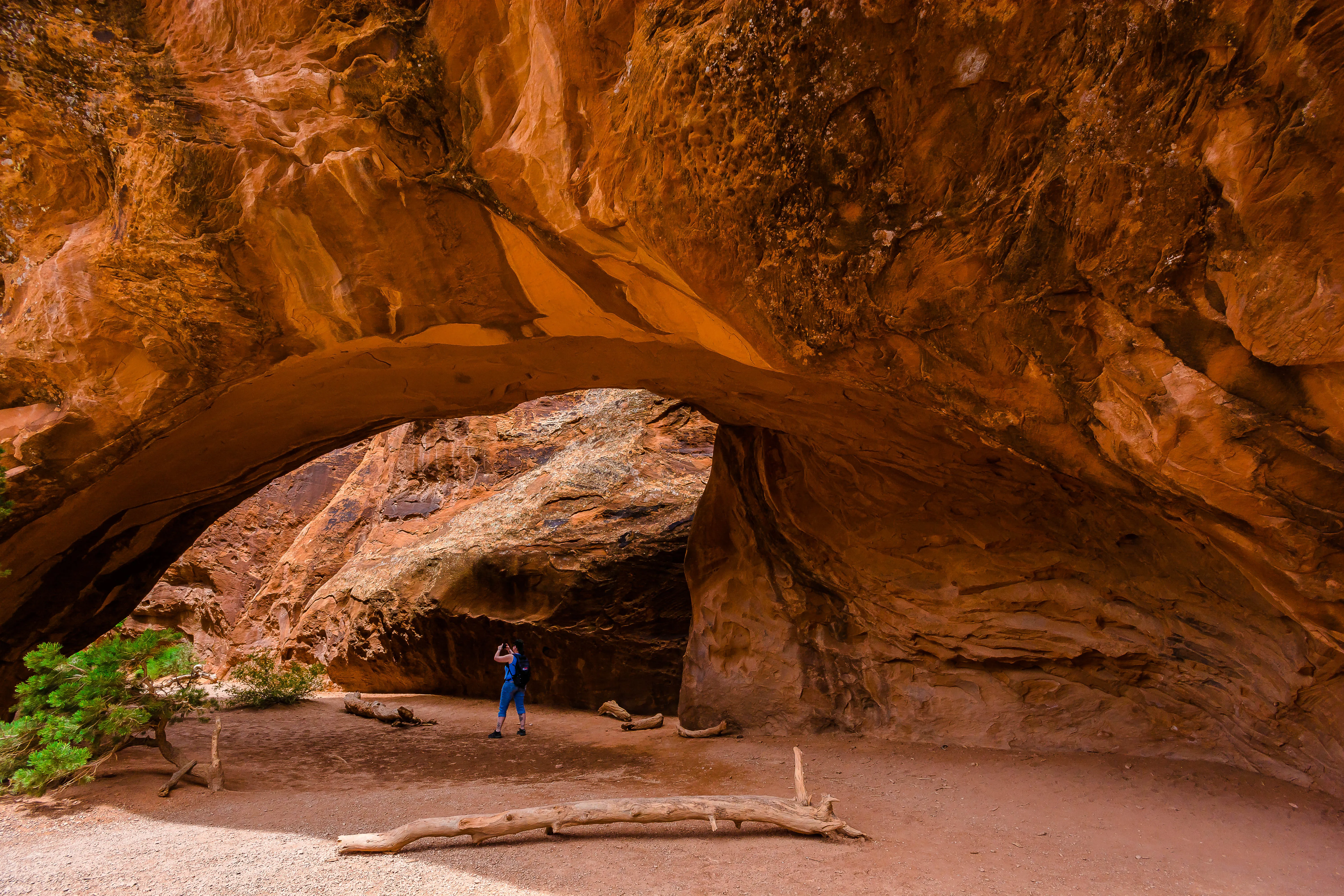 Navajo Arch via Devils Garden Trailhead