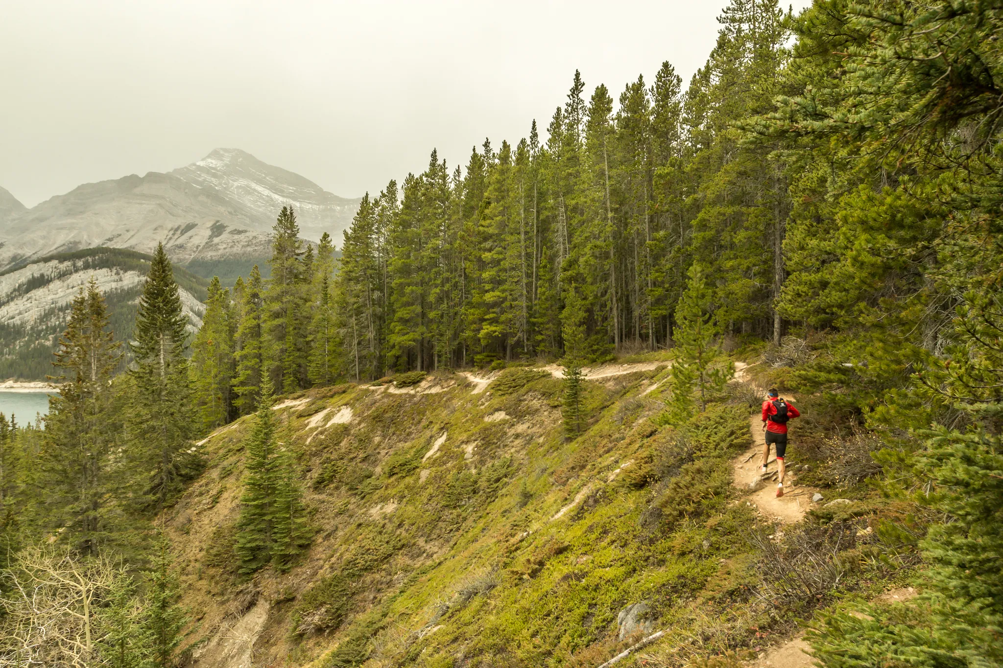 Trail Run on the Wind Ridge-Bow Valley