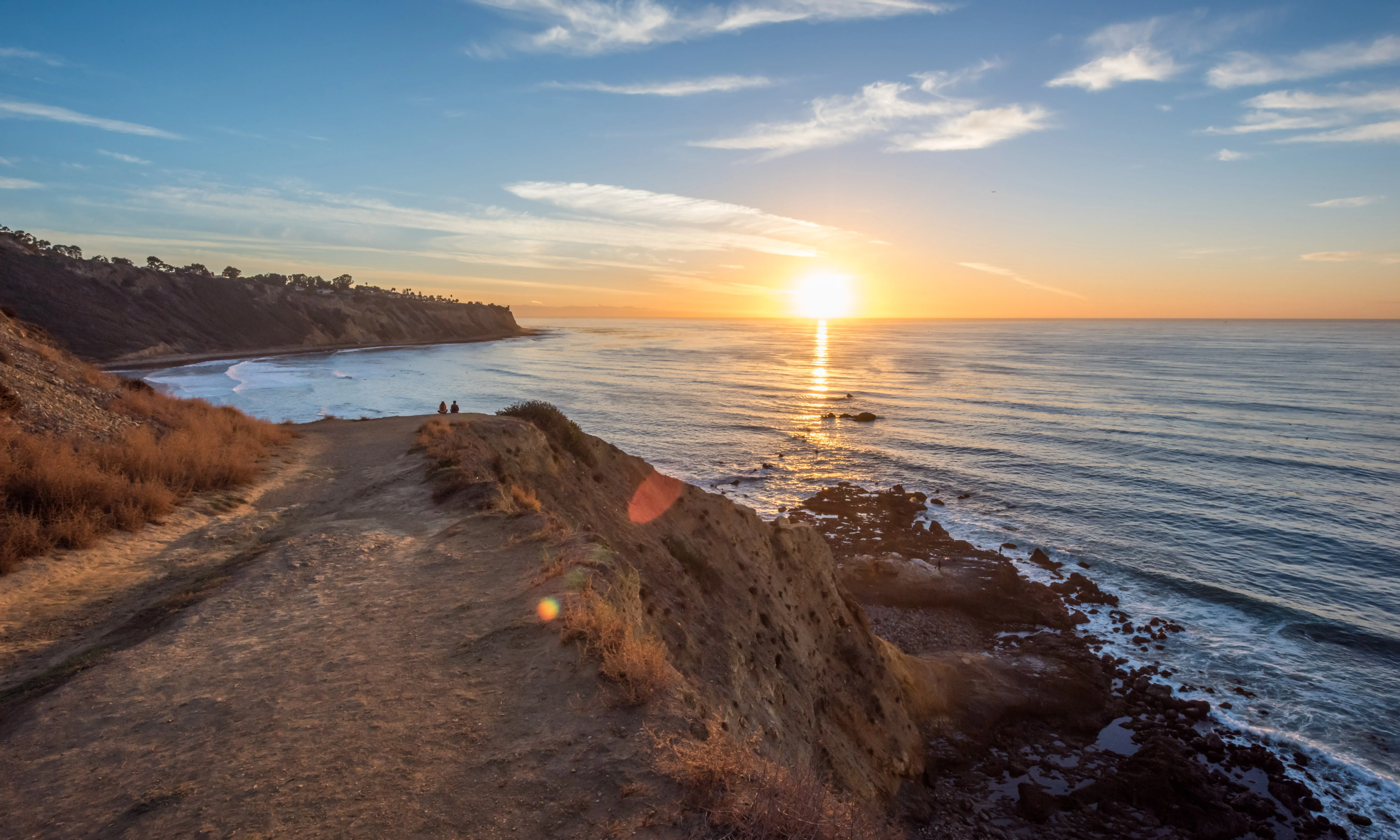 Bluff Cove