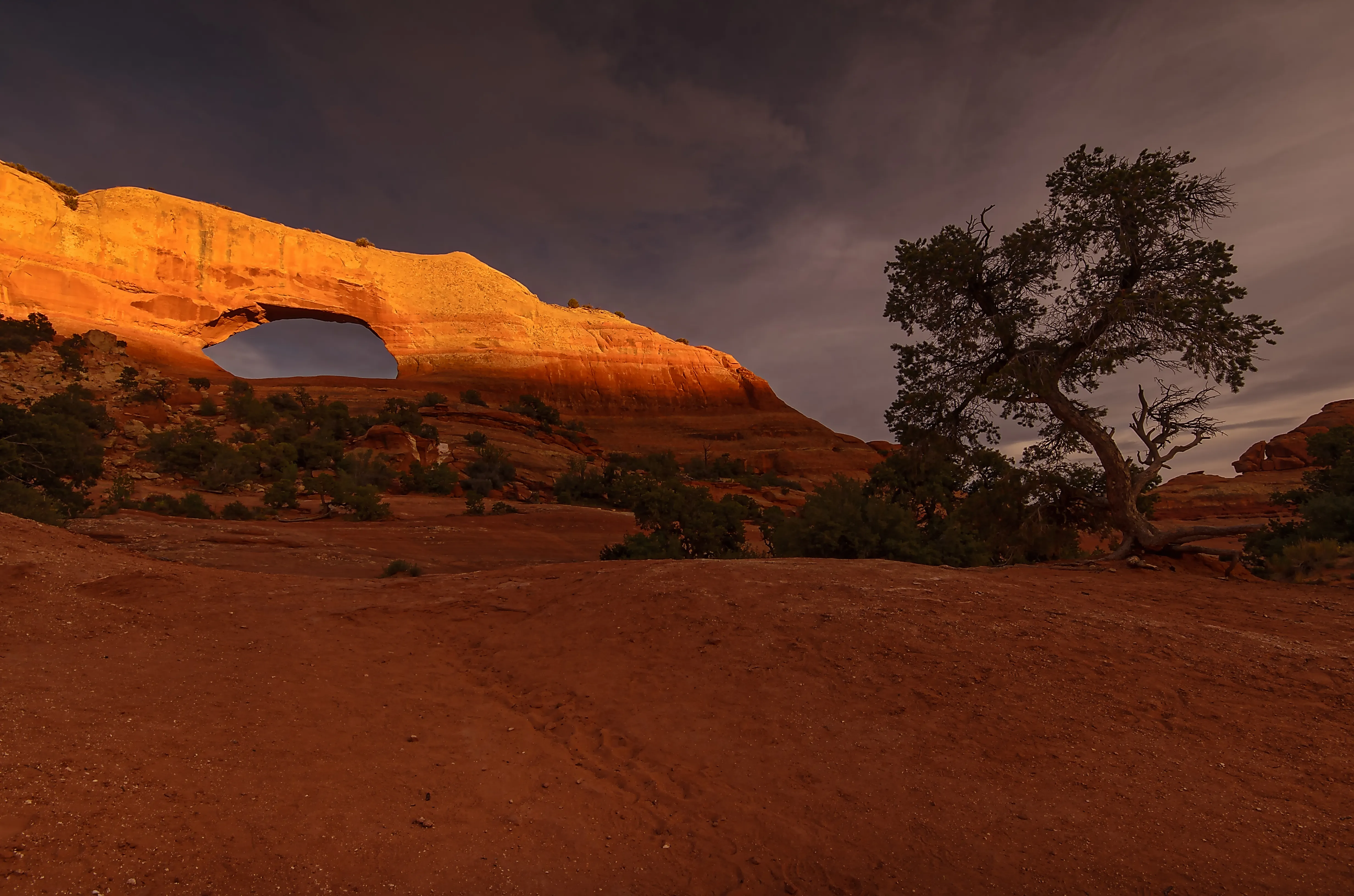 Hiking to Wilson Arch