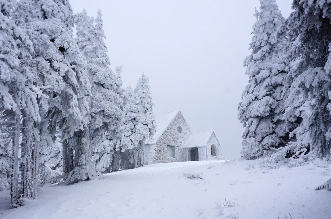 Mt. Spokane Summit