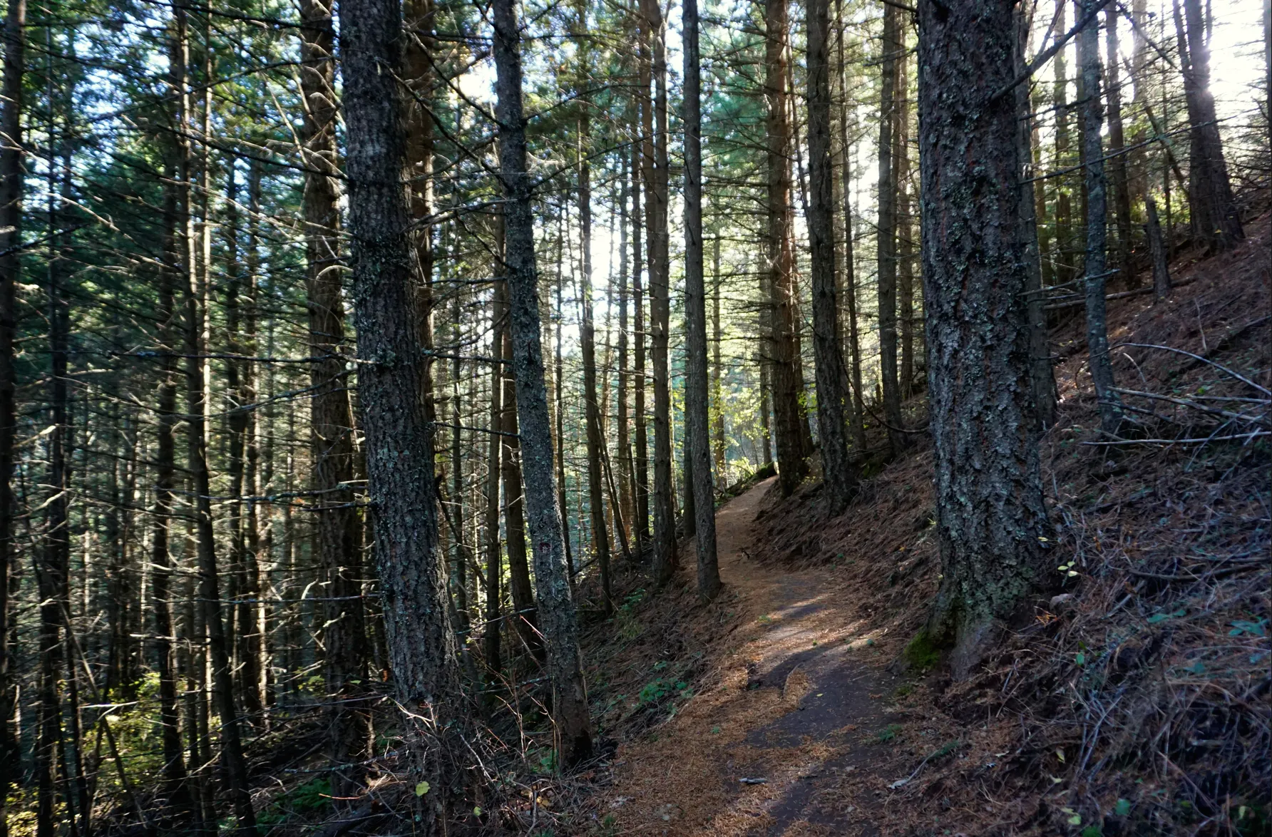 Hike Liberty Lake Loop