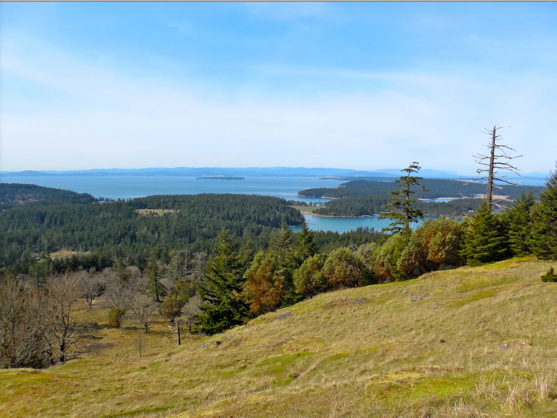 Hike to Young Hill