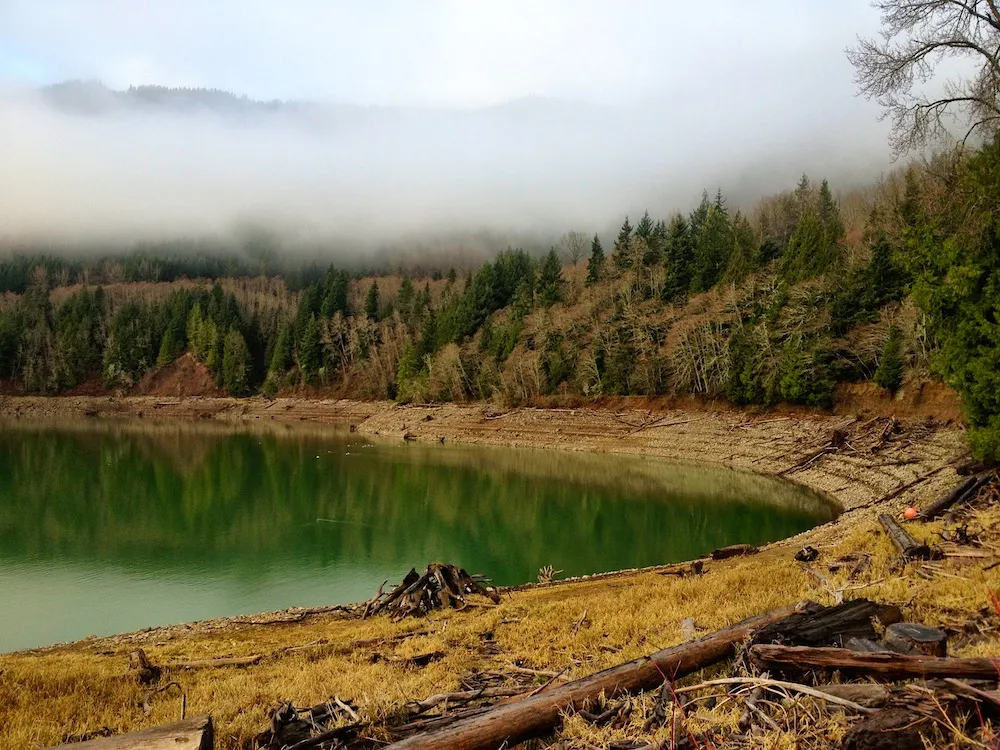 Explore Riffe Lake