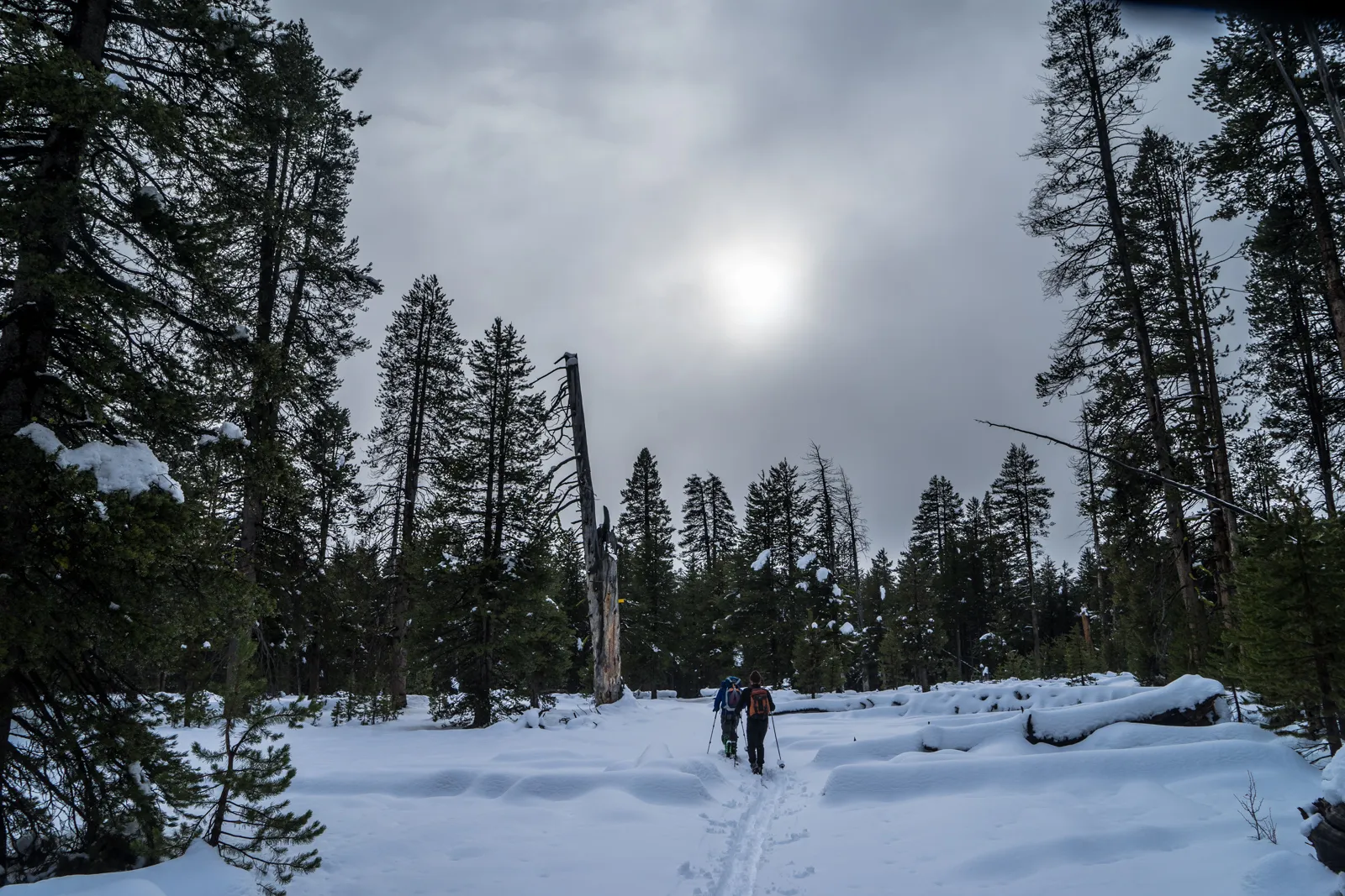 Cross-Country Ski to the Ostrander Ski Hut