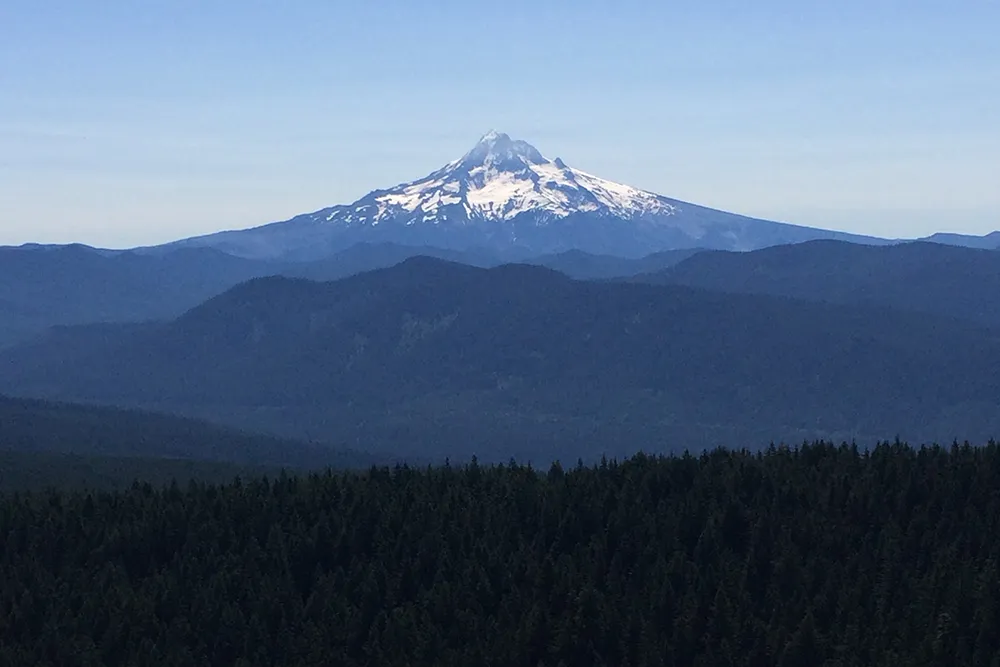 Larch Mountain's Summit