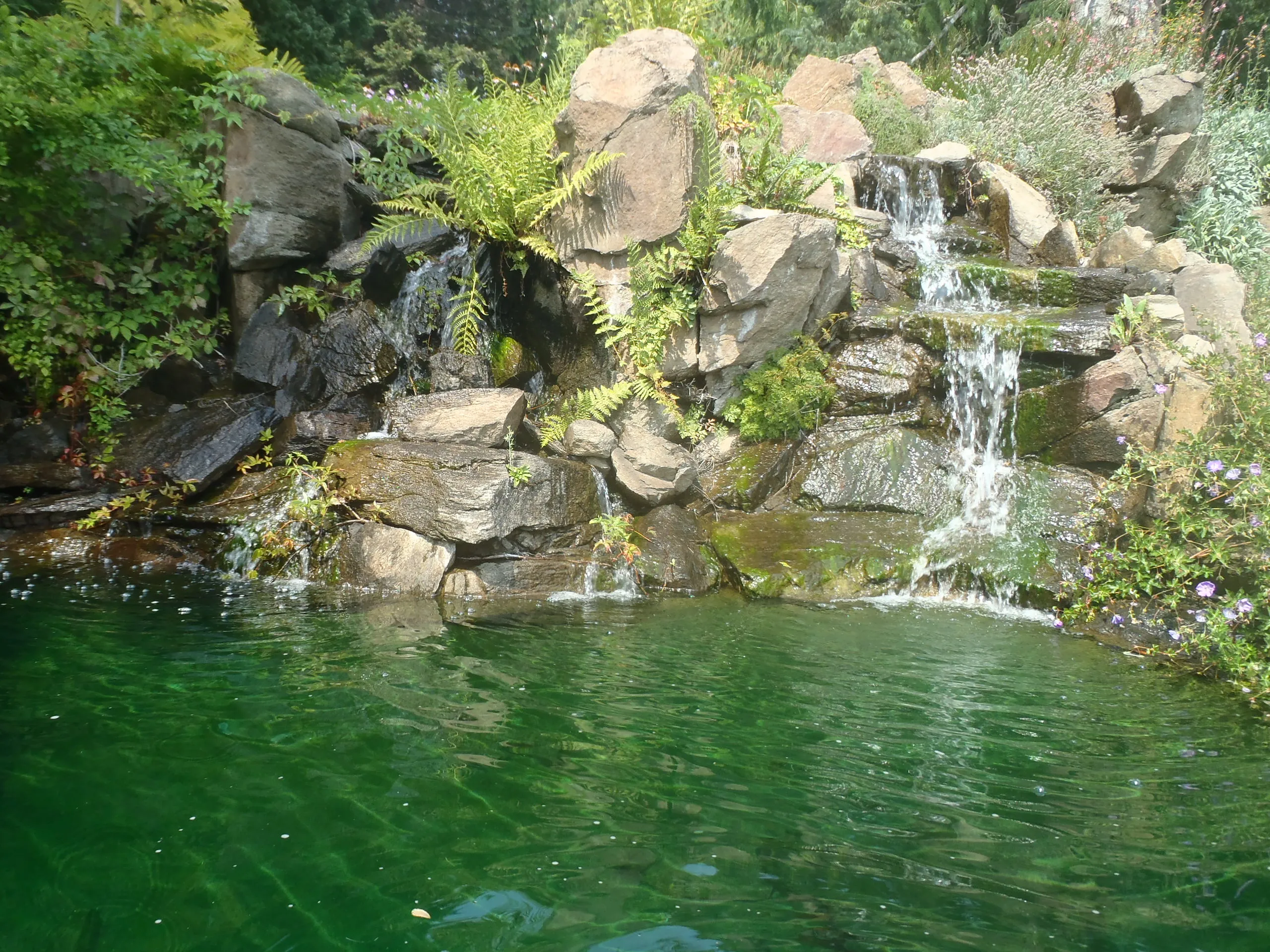 Stroll through Ohme Garden