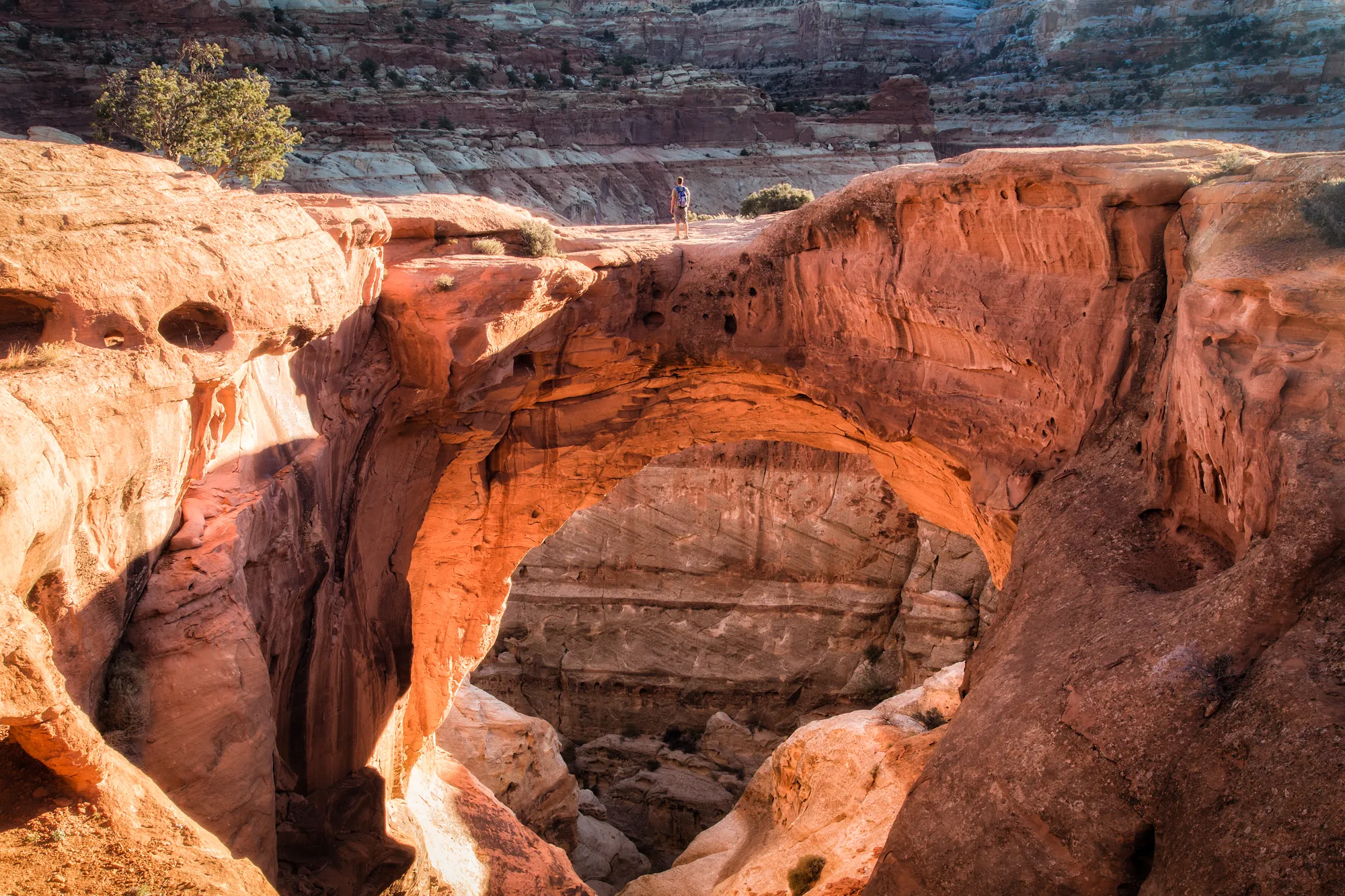 Cassidy Arch Trail