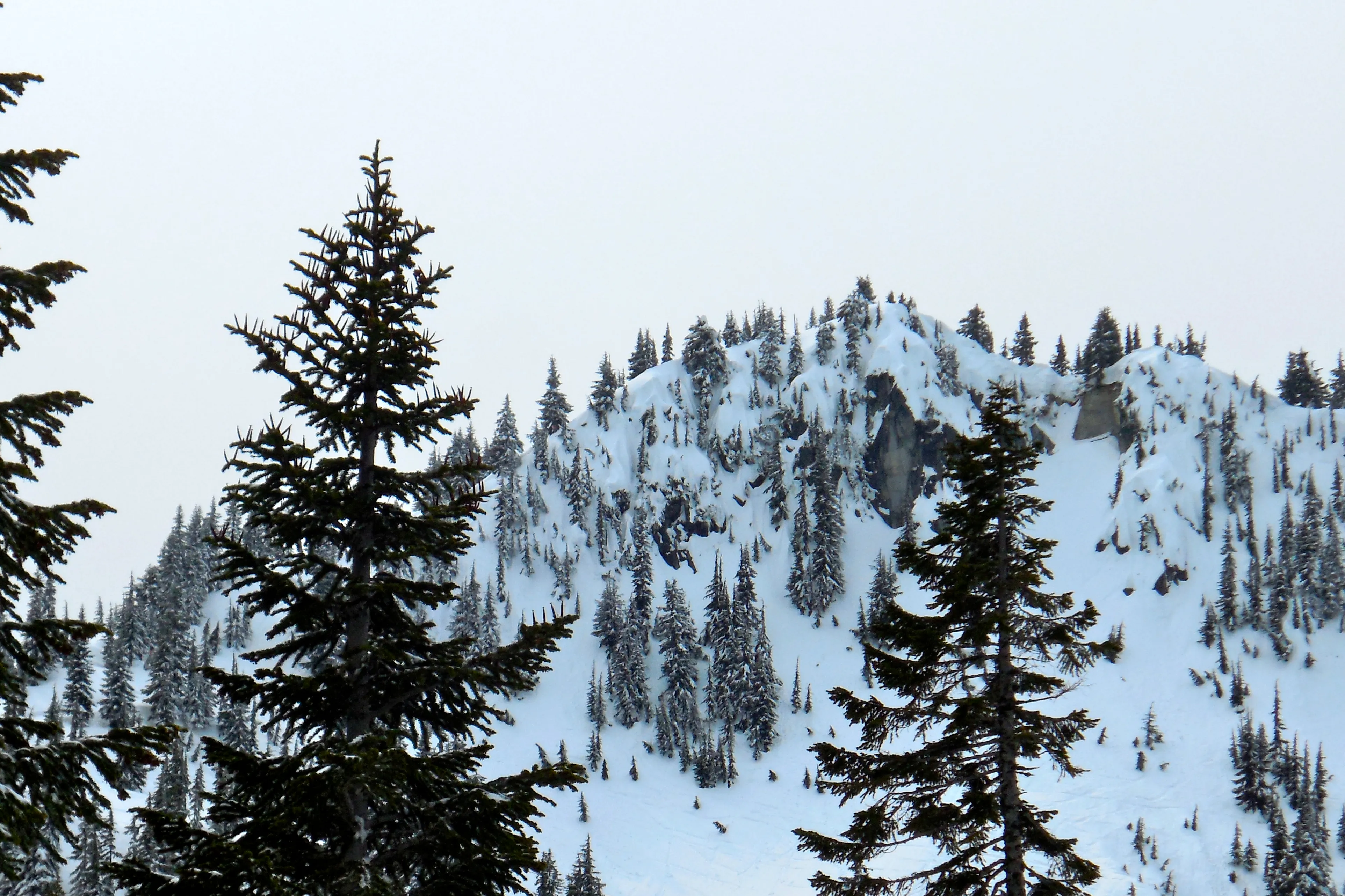Water and Snow Ski Stevens to Stevens