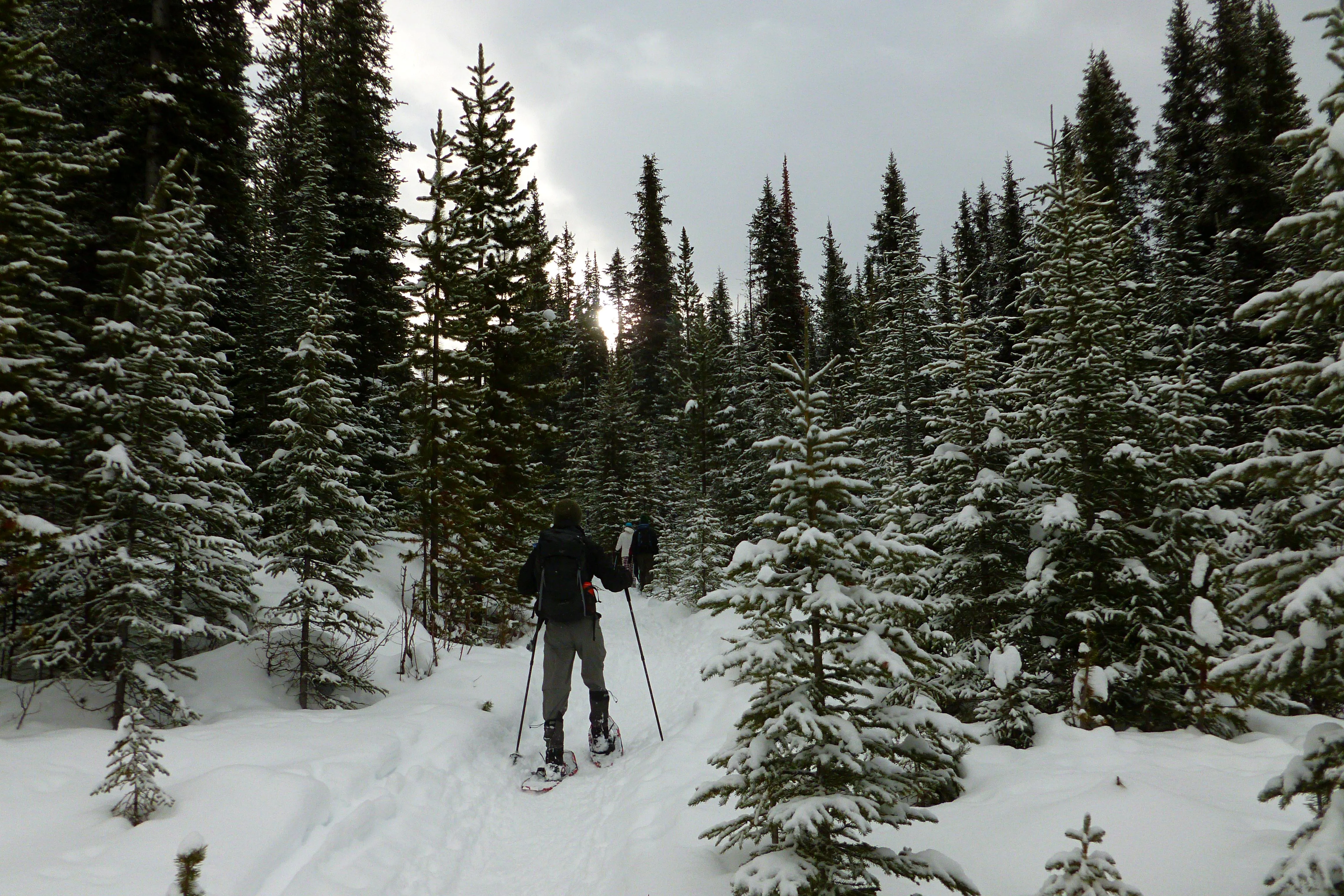 Snowshoe to Rummel Lake and Pass