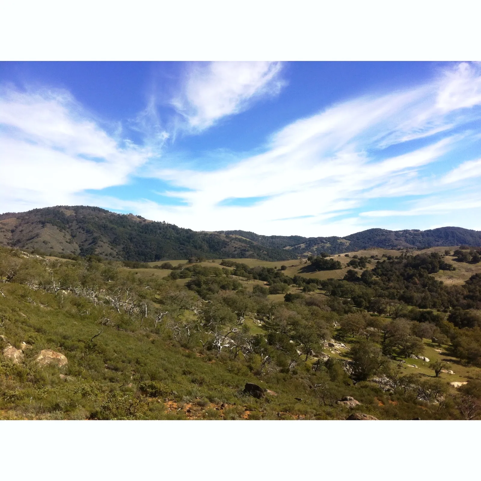 West Vista Loop & Coast to Crest Trail