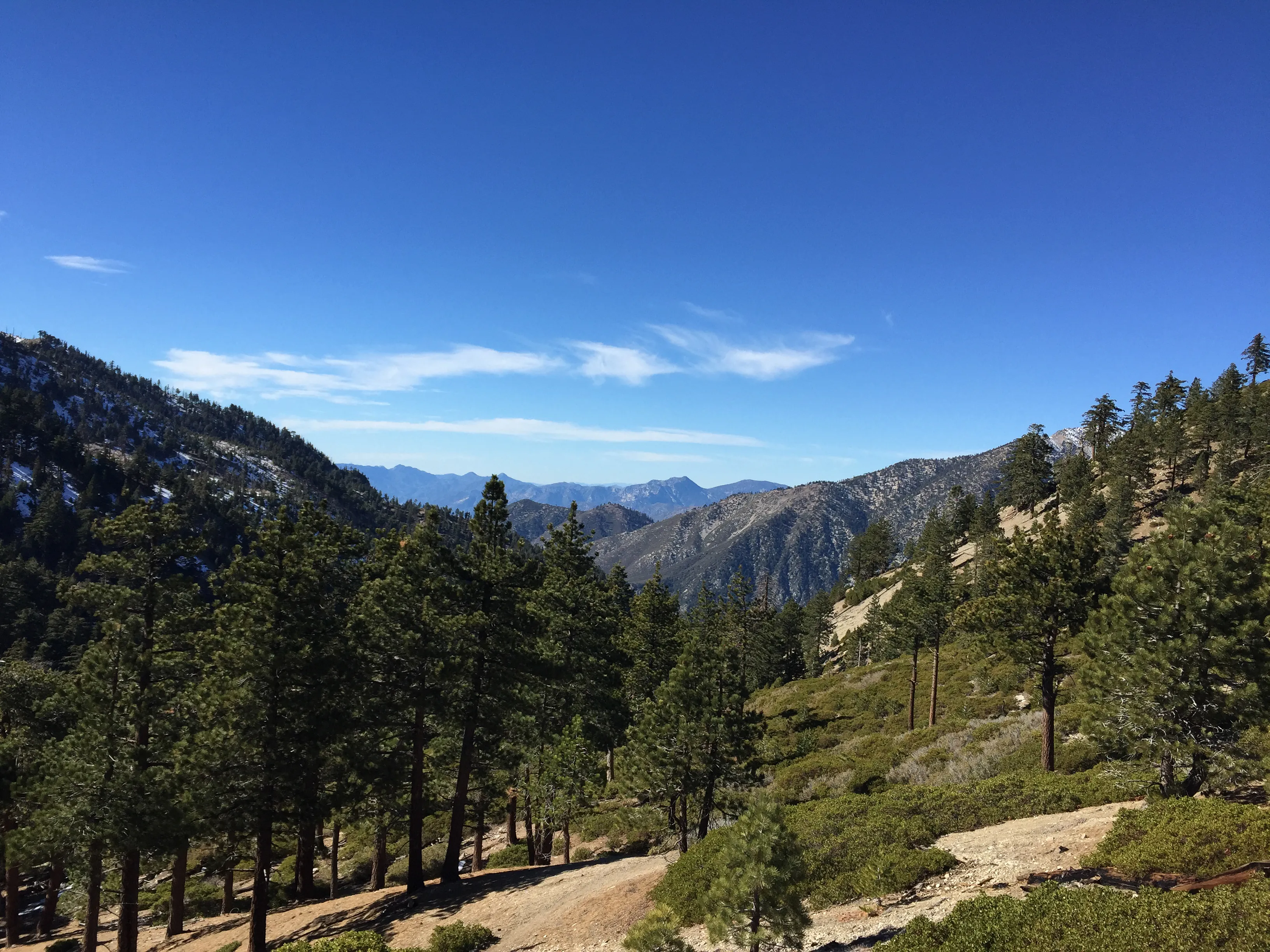 Icehouse Saddle via Icehouse Canyon Trail