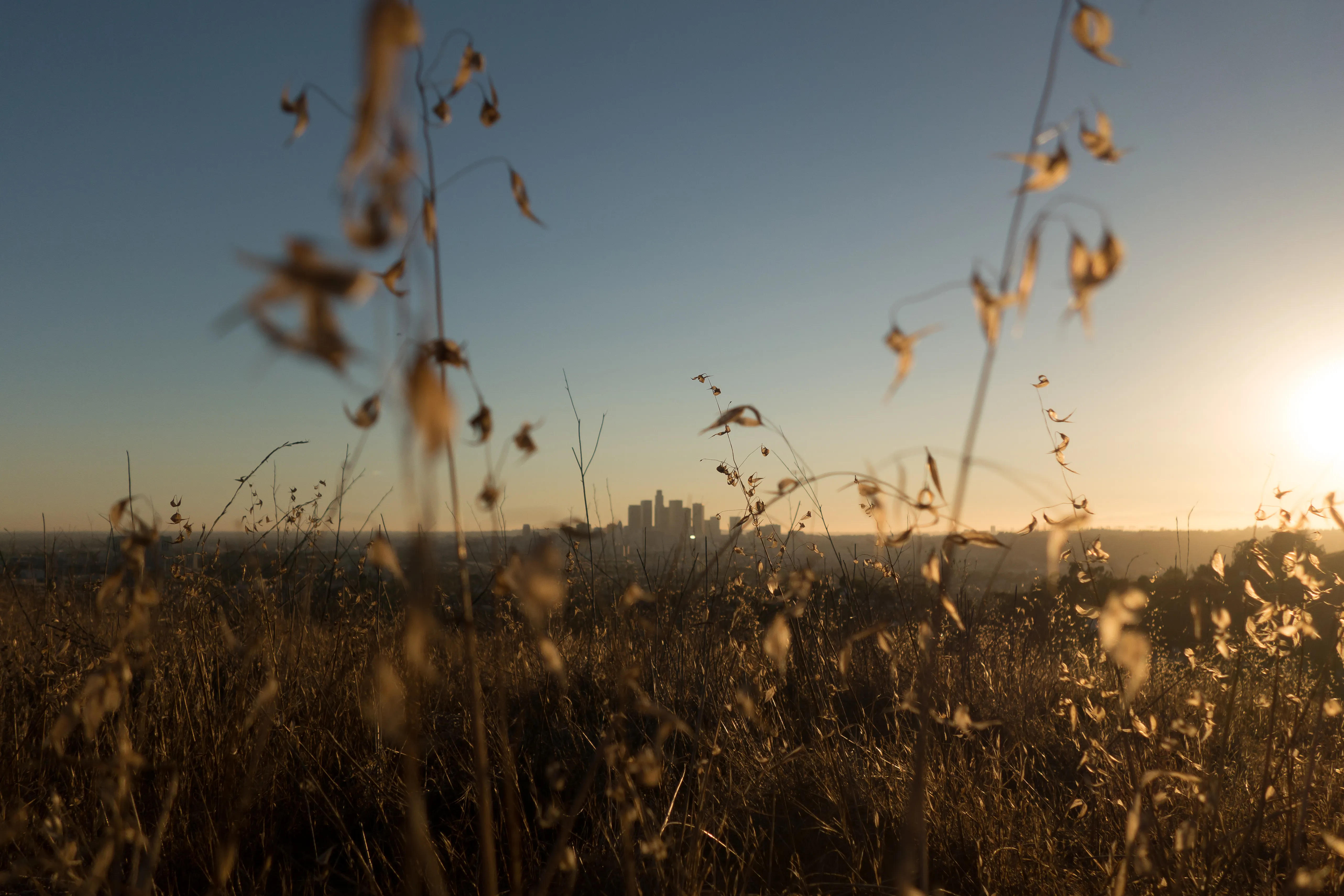 Ascot Hills 