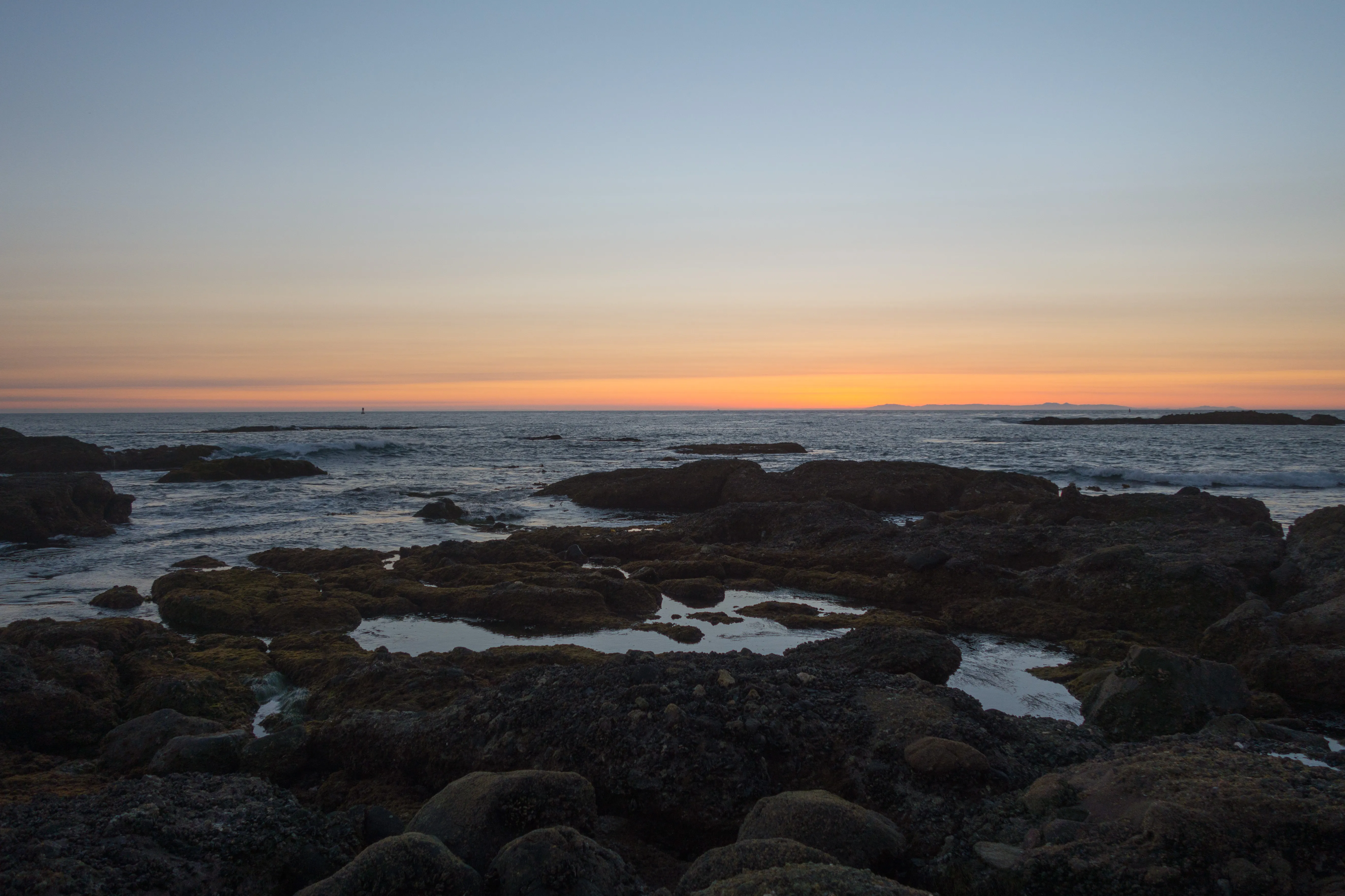 Dana Point Tide Pools