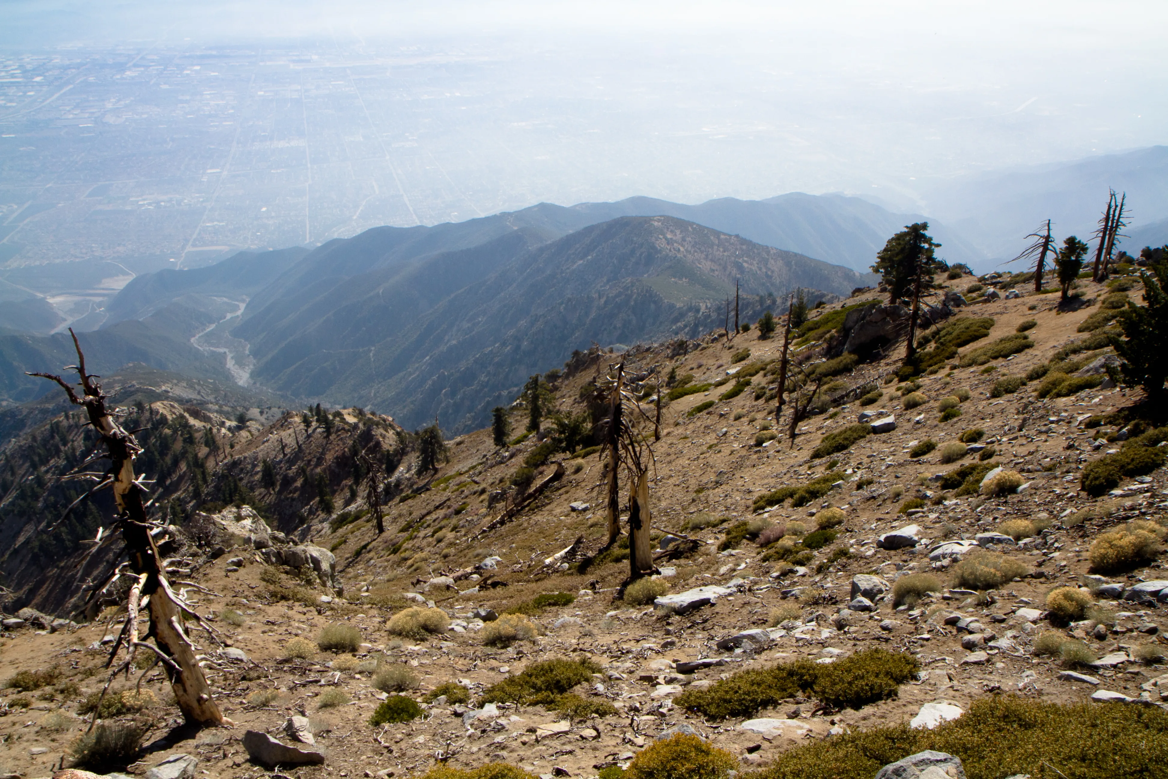 Ontario Peak and Cucamonga Peak via Icehouse Canyon Trailhead