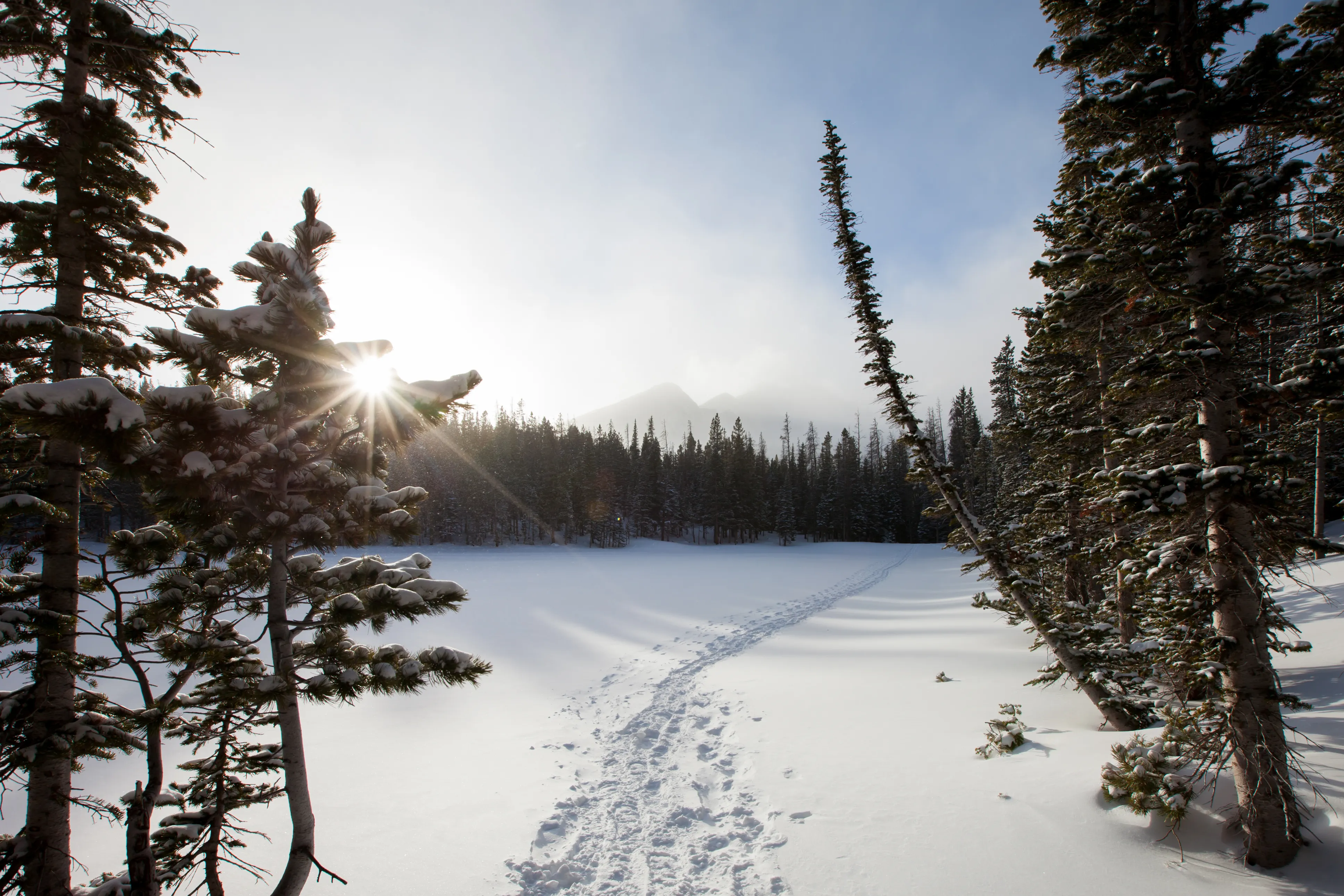 Snowshoe to Emerald Lake