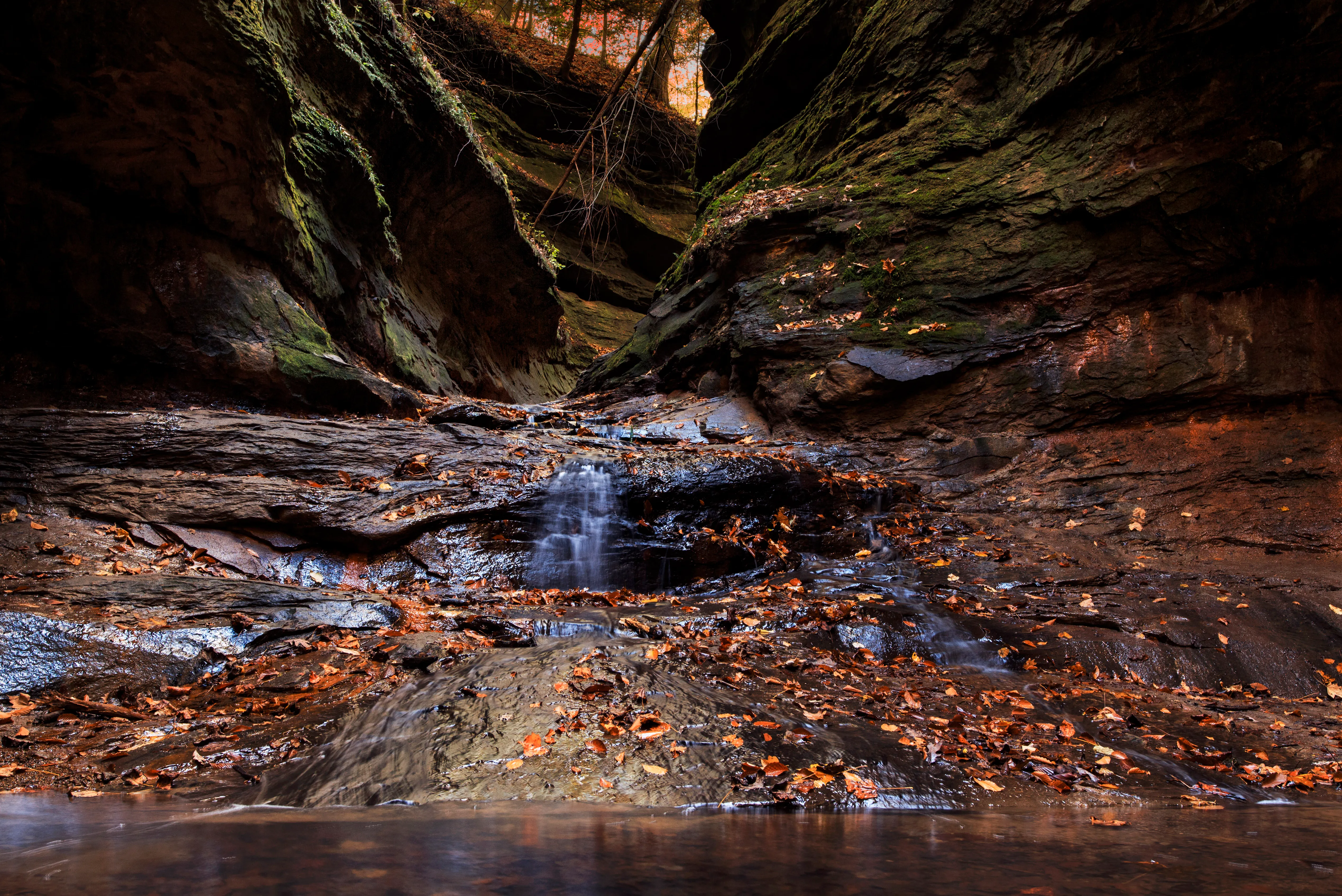 Hike the Turkey Run Trail System