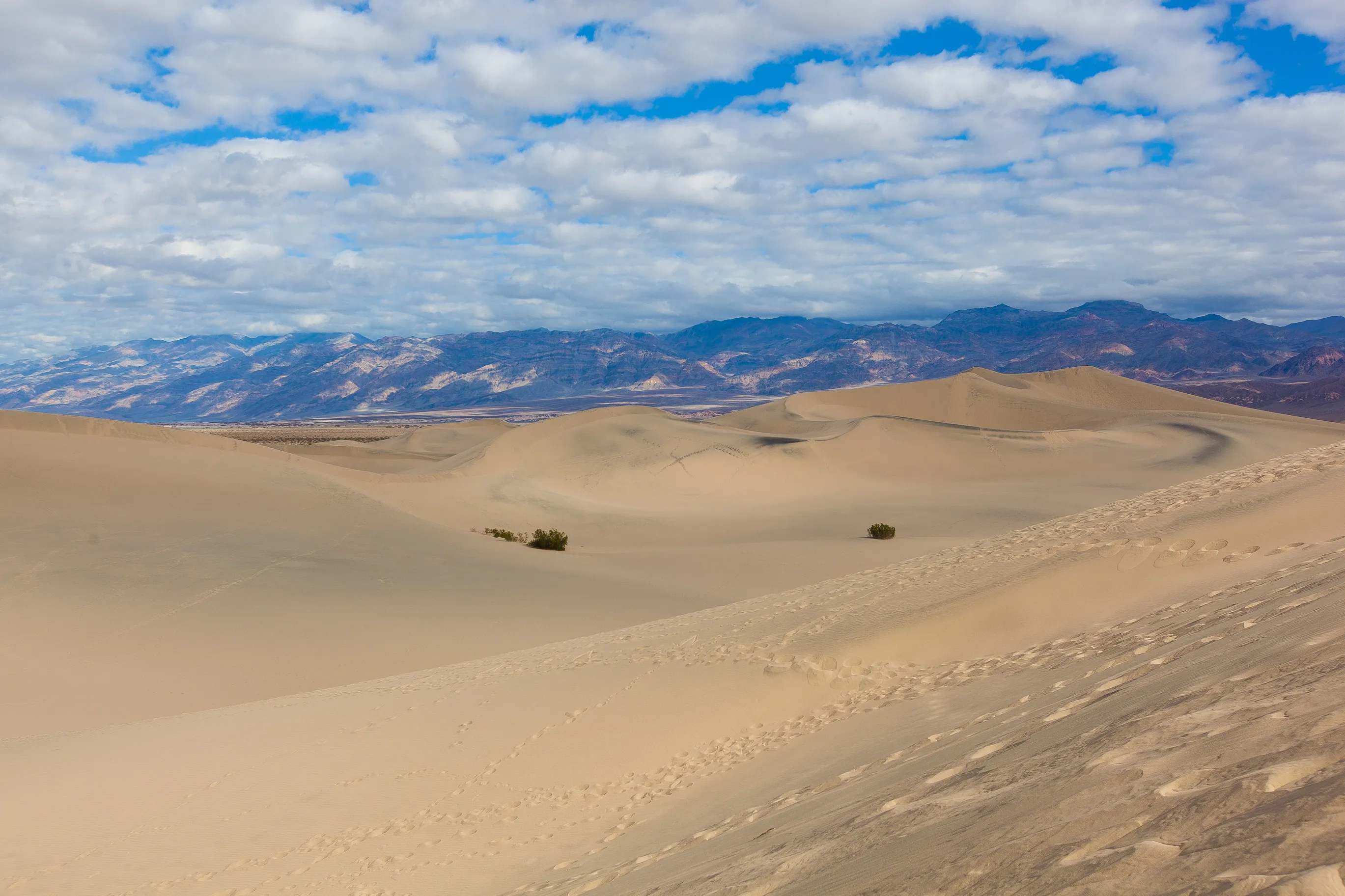 Sandboarding the Mesquite Sand Dunes