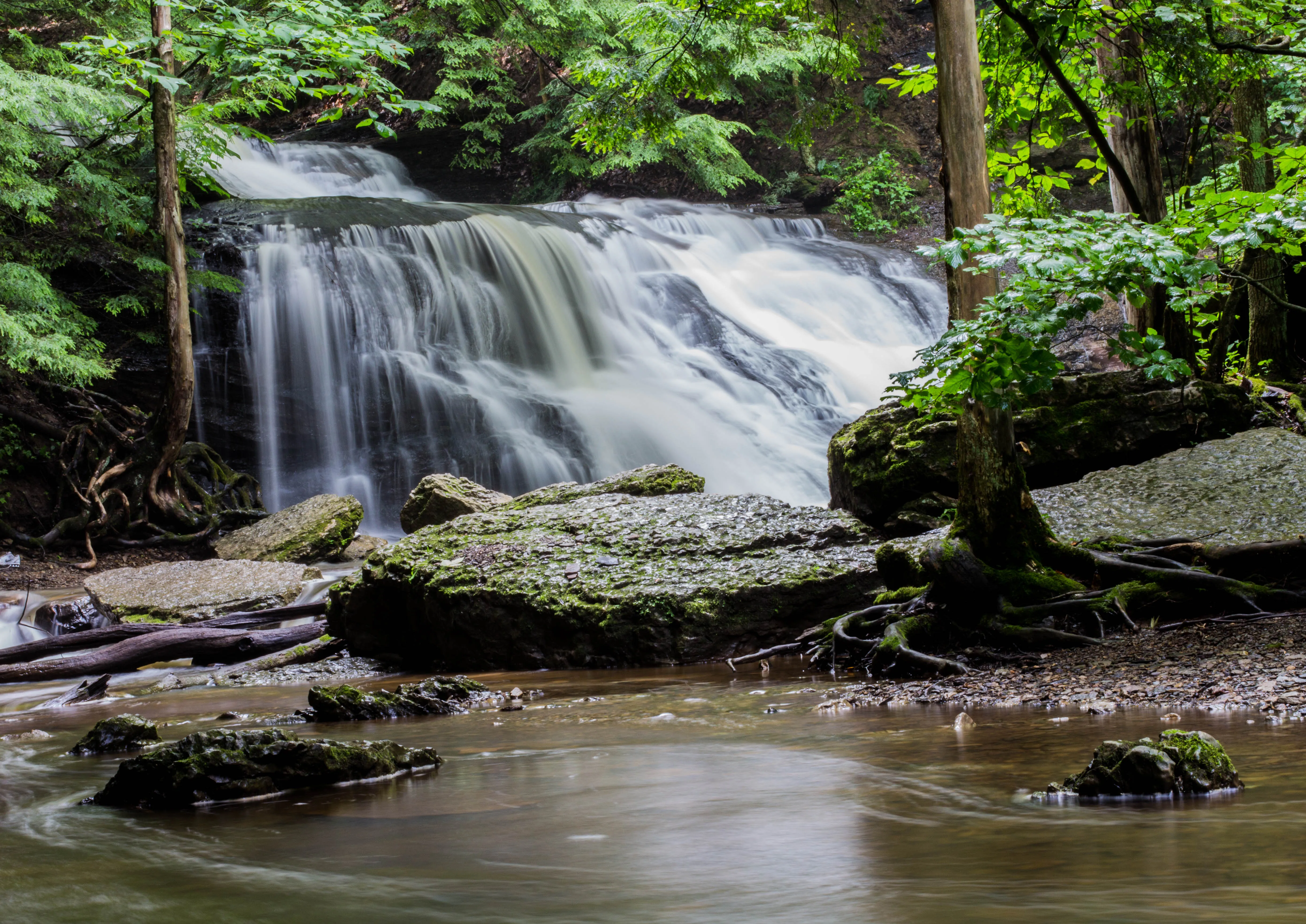 Hike McConnell's Mill State Park