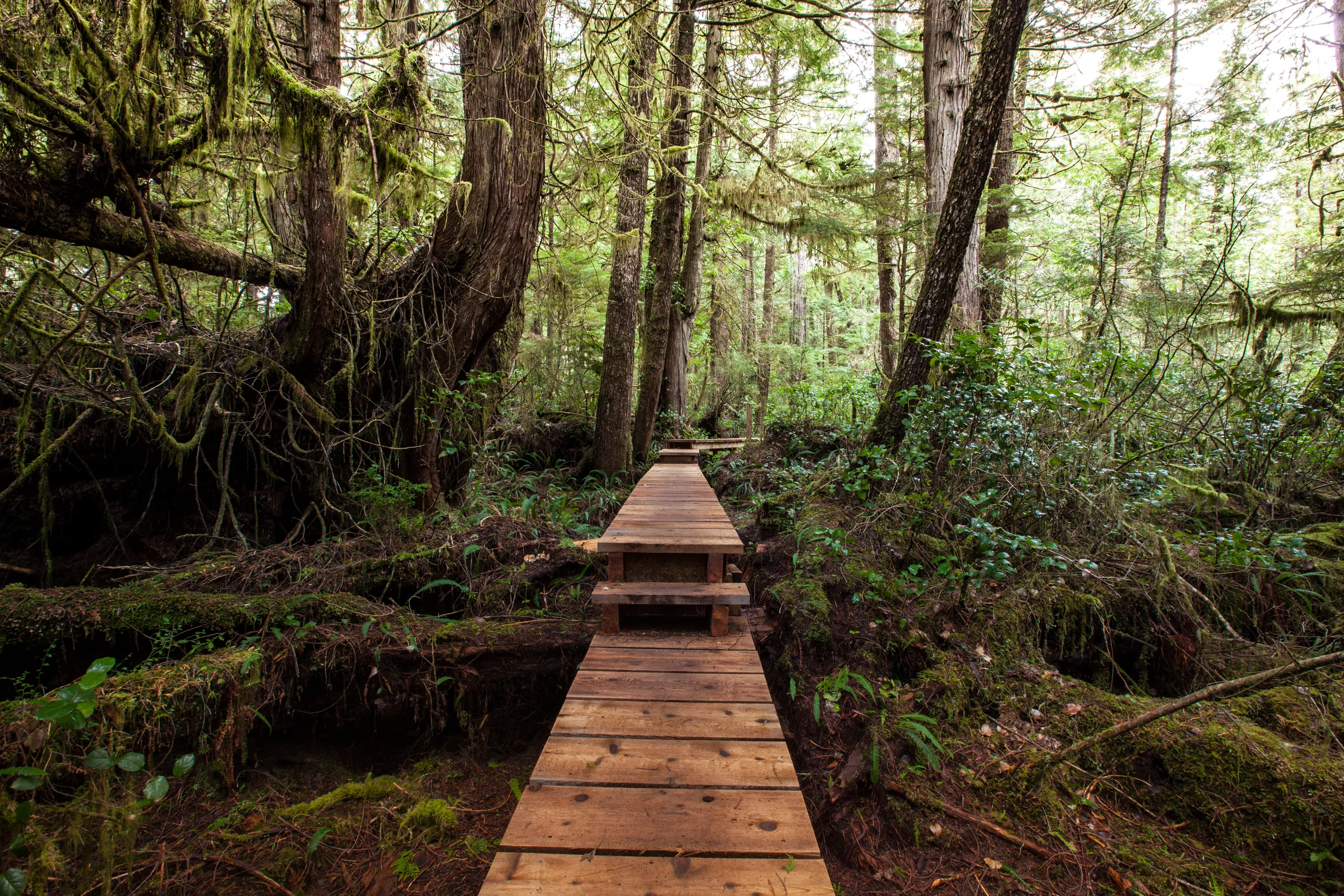 Hiking Willowbrae to Halfmoon Bay and Florencia Bay