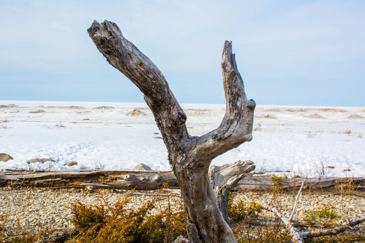 Hiking MacGregor Point Provincial Park 