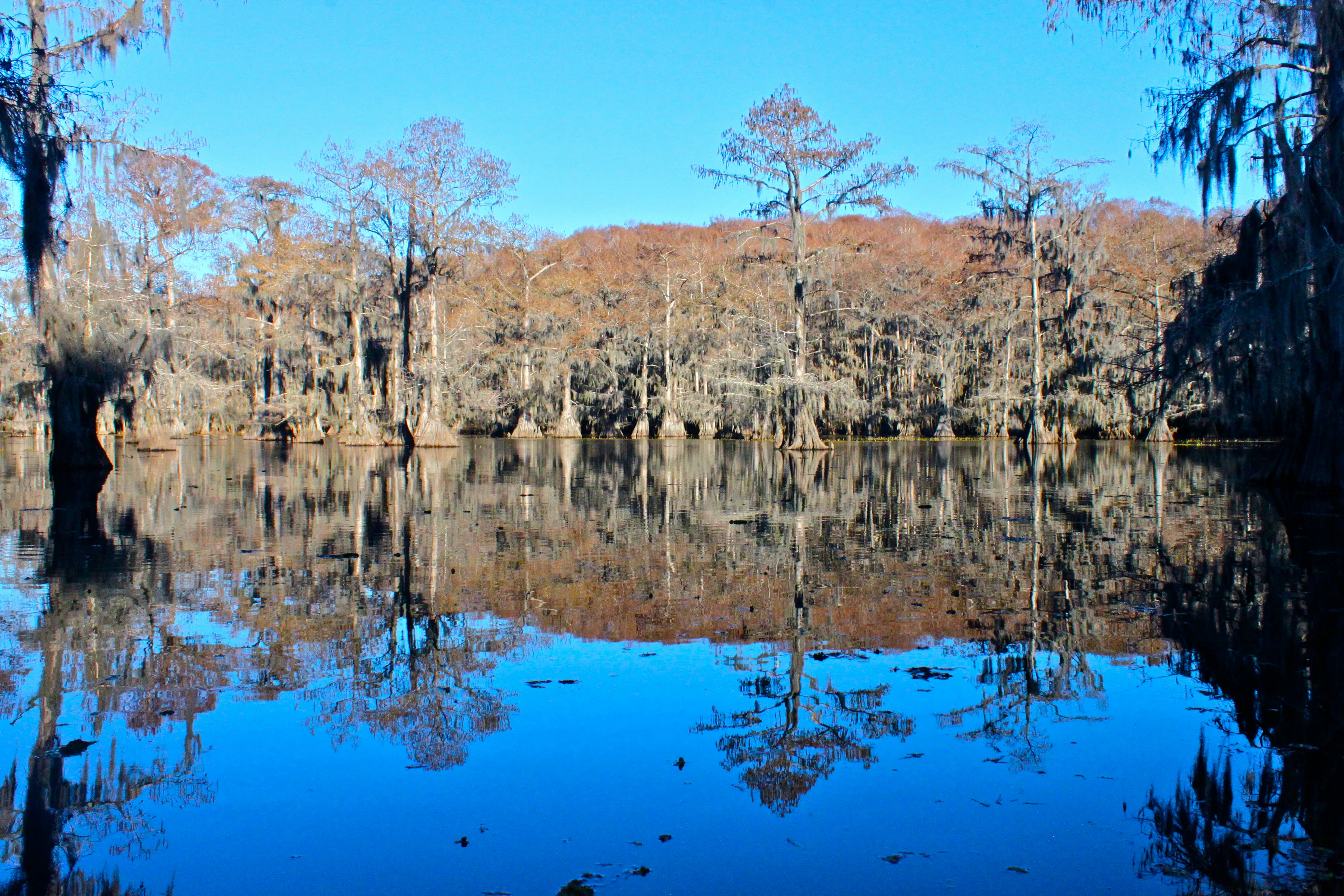 Canoeing Caddo Lake