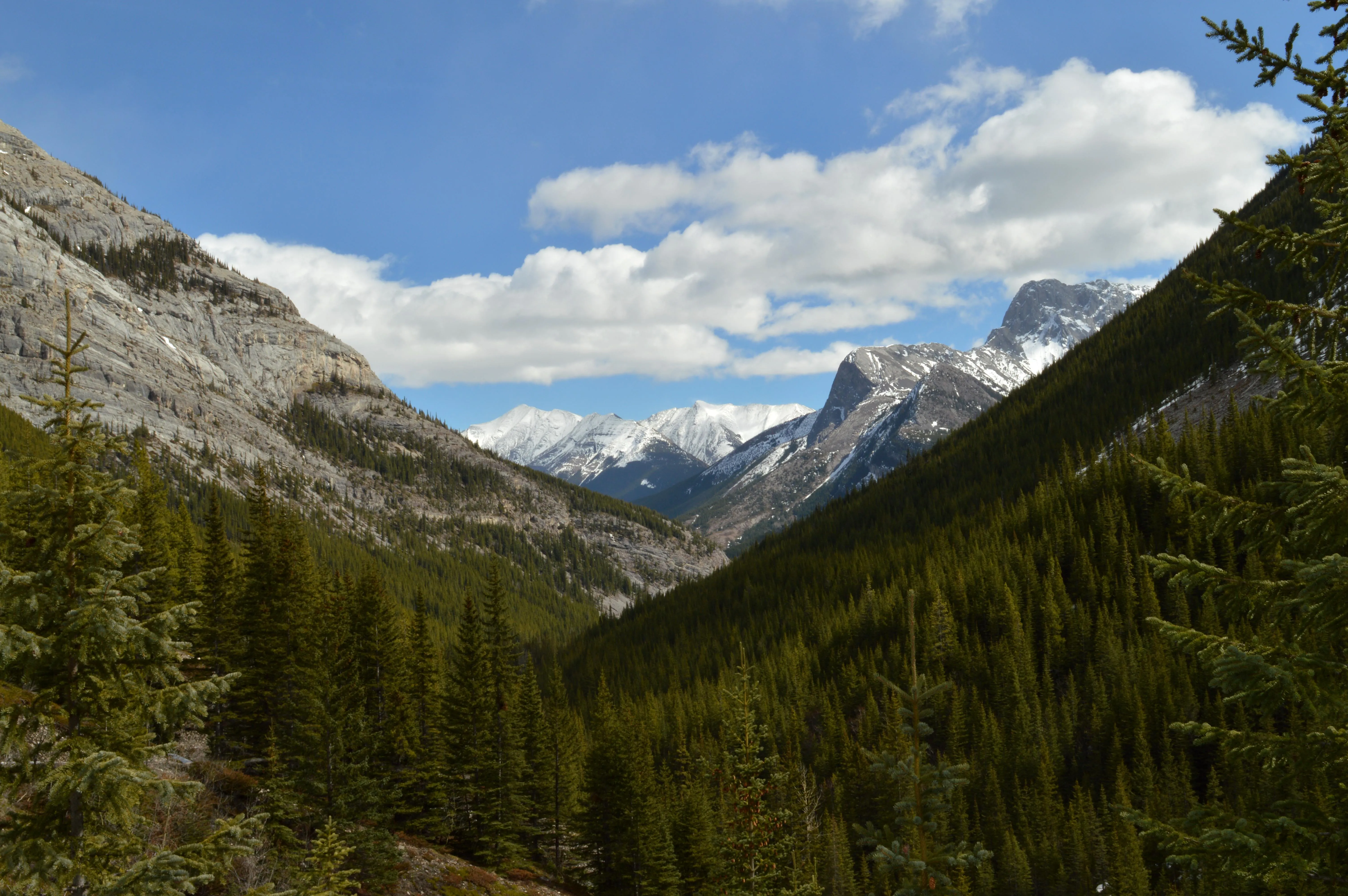 Hike up Galatea Creek to Lillian Lake