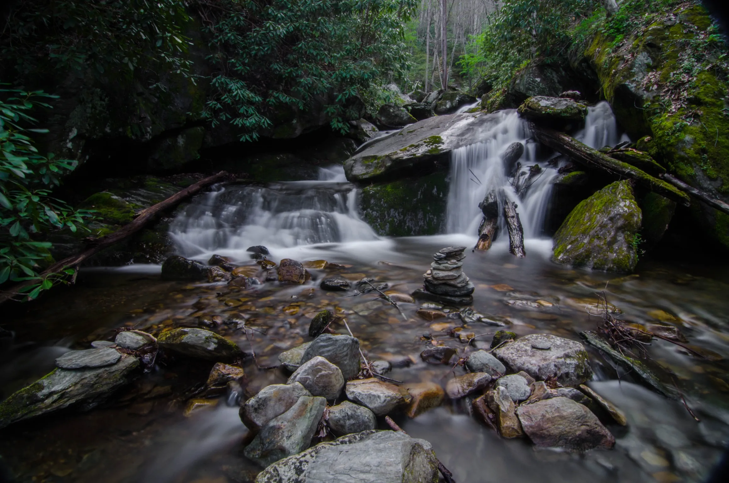 Hike Ledbetter Creek