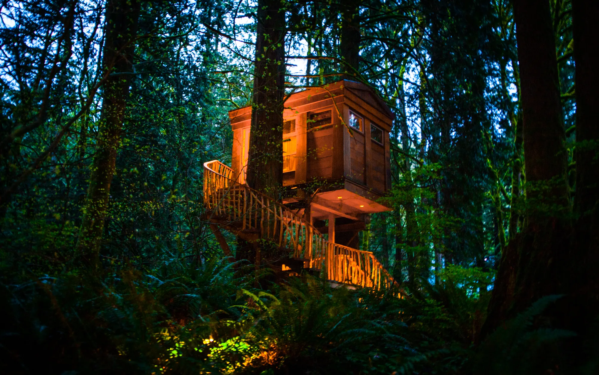TreeHouse Point