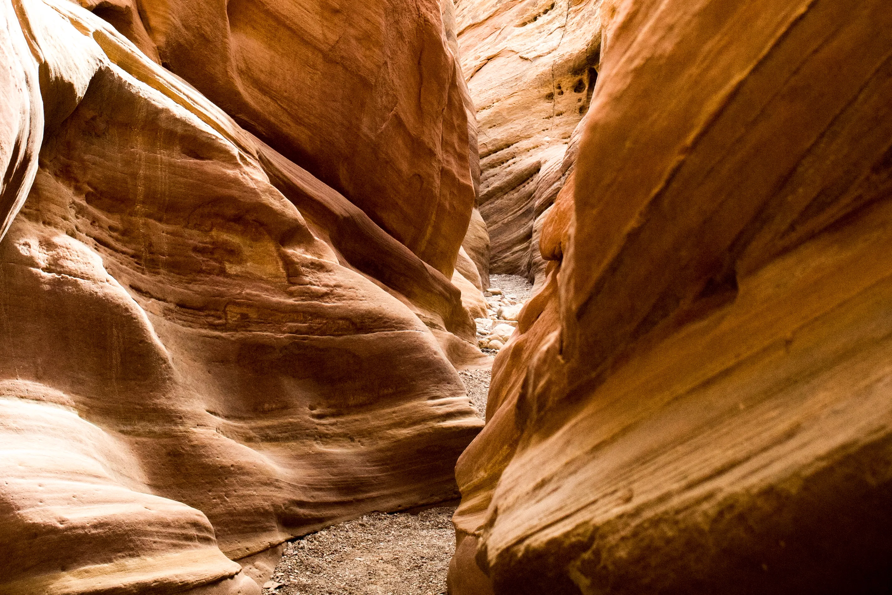 Little Wild Horse Canyon & Bell Canyon Loop