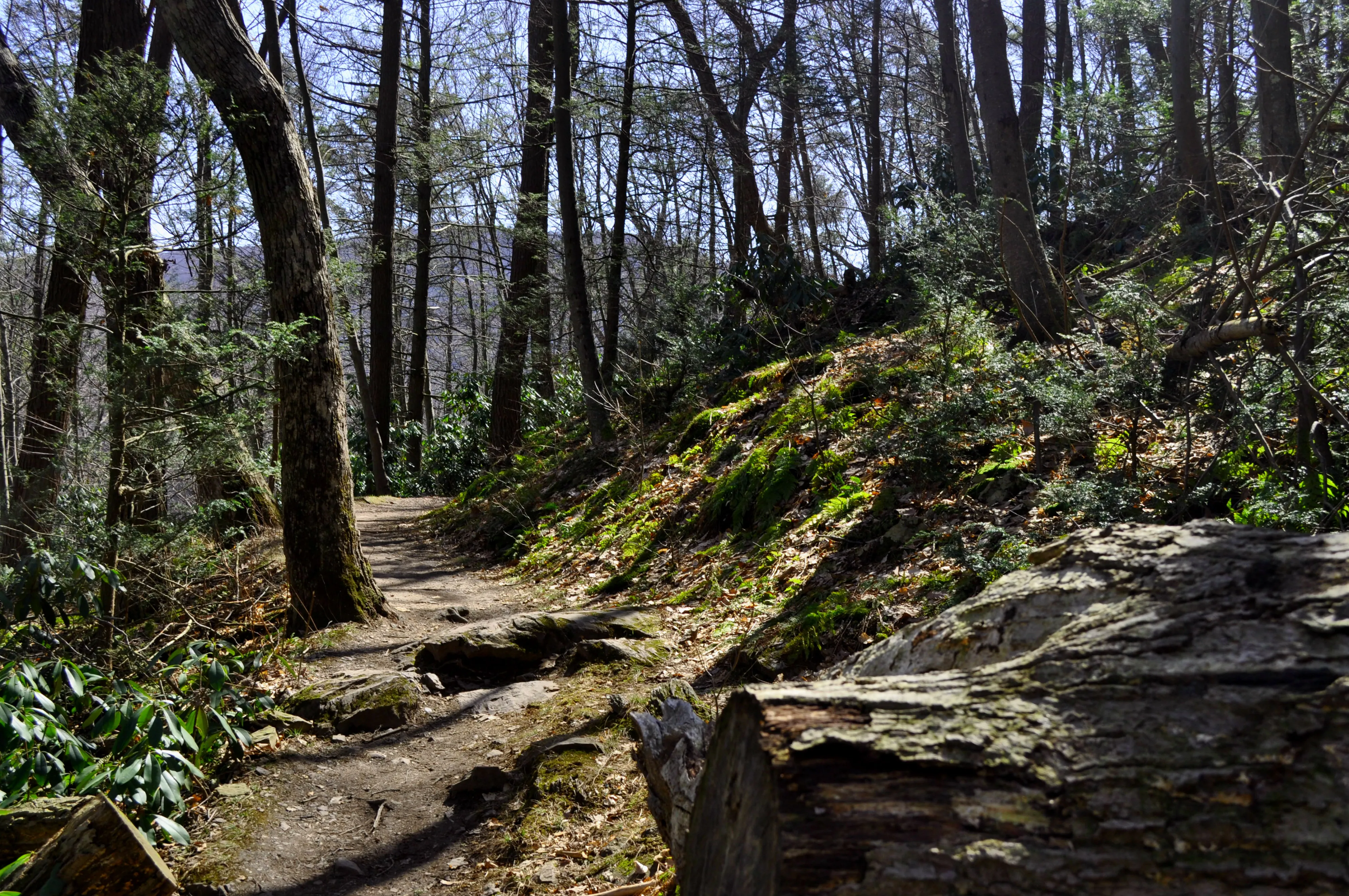 Hike Mount Minsi