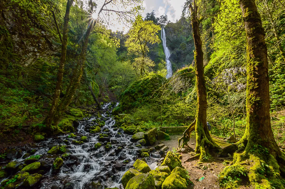 Starvation Creek Falls 