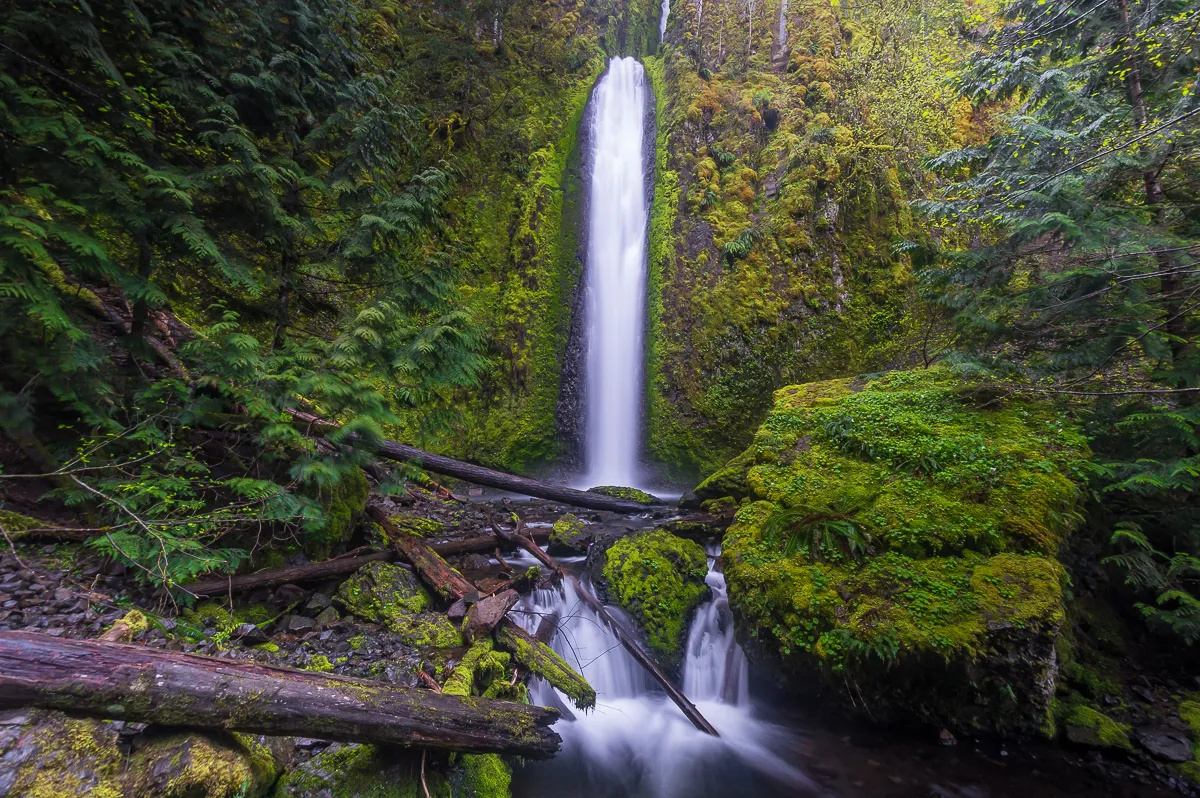 Gorton Creek Falls 