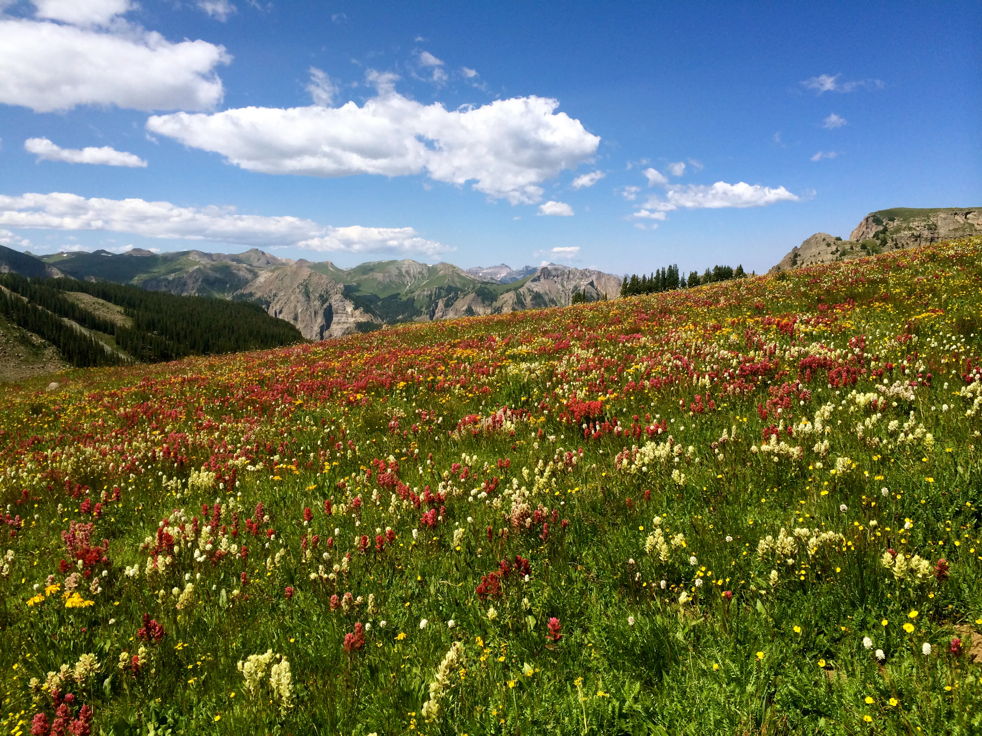 Backpack to Wetterhorn Basin