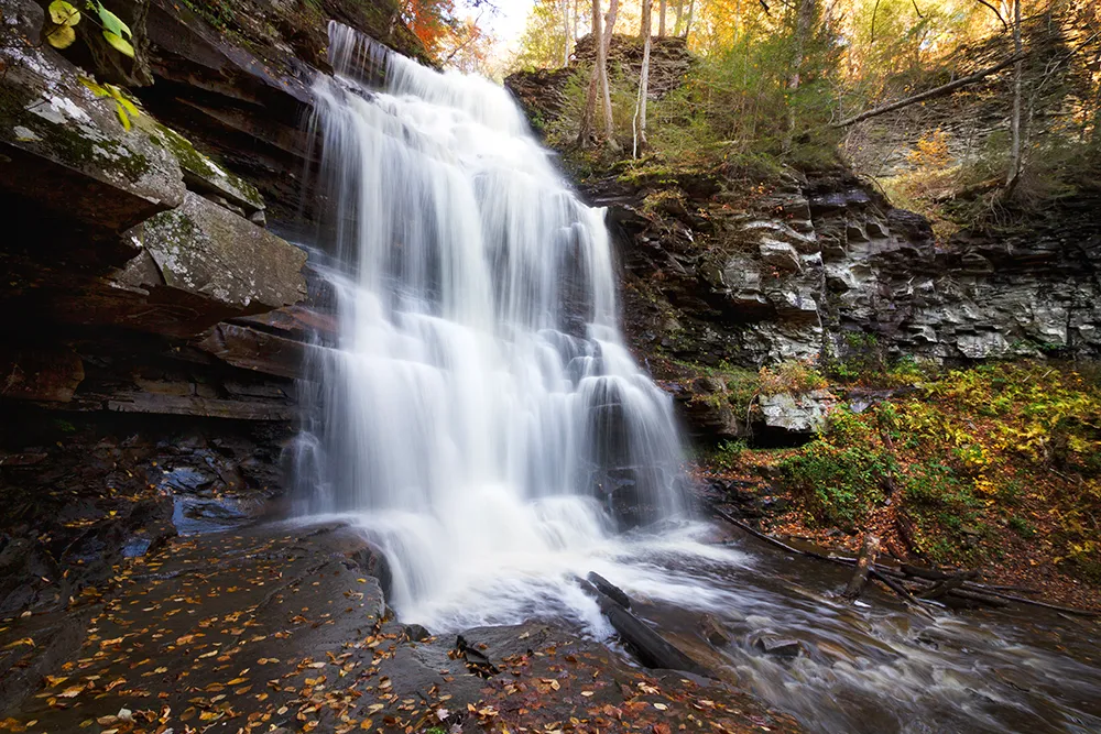 Falls Trail Loop in Ricketts Glen State Park