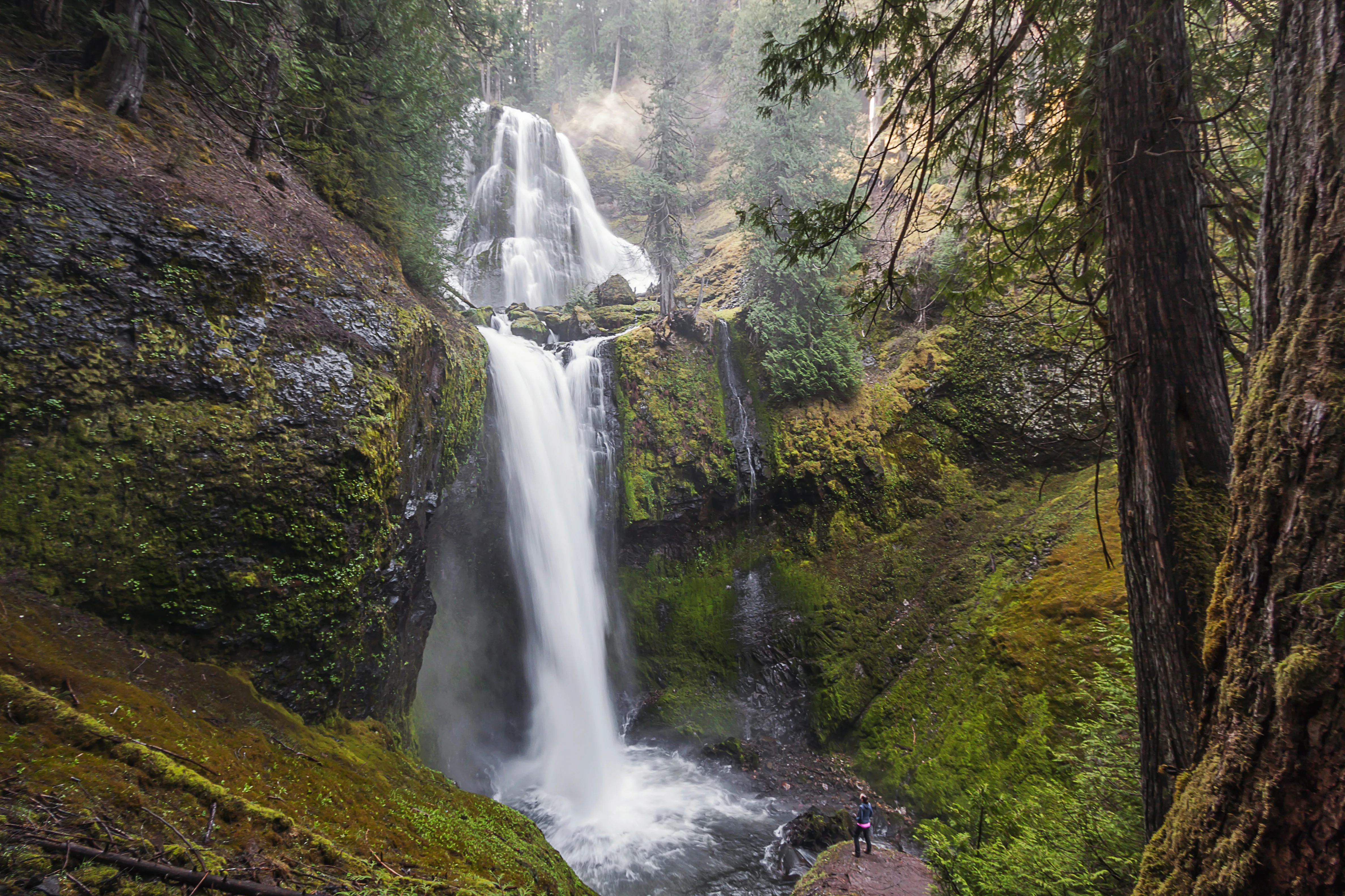 Falls Creek Falls