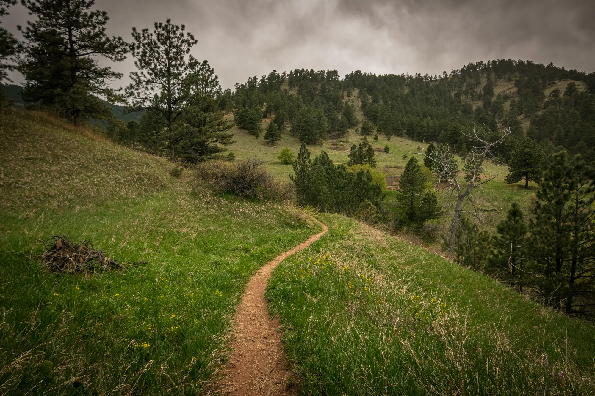 Red Rocks Loop Trail 