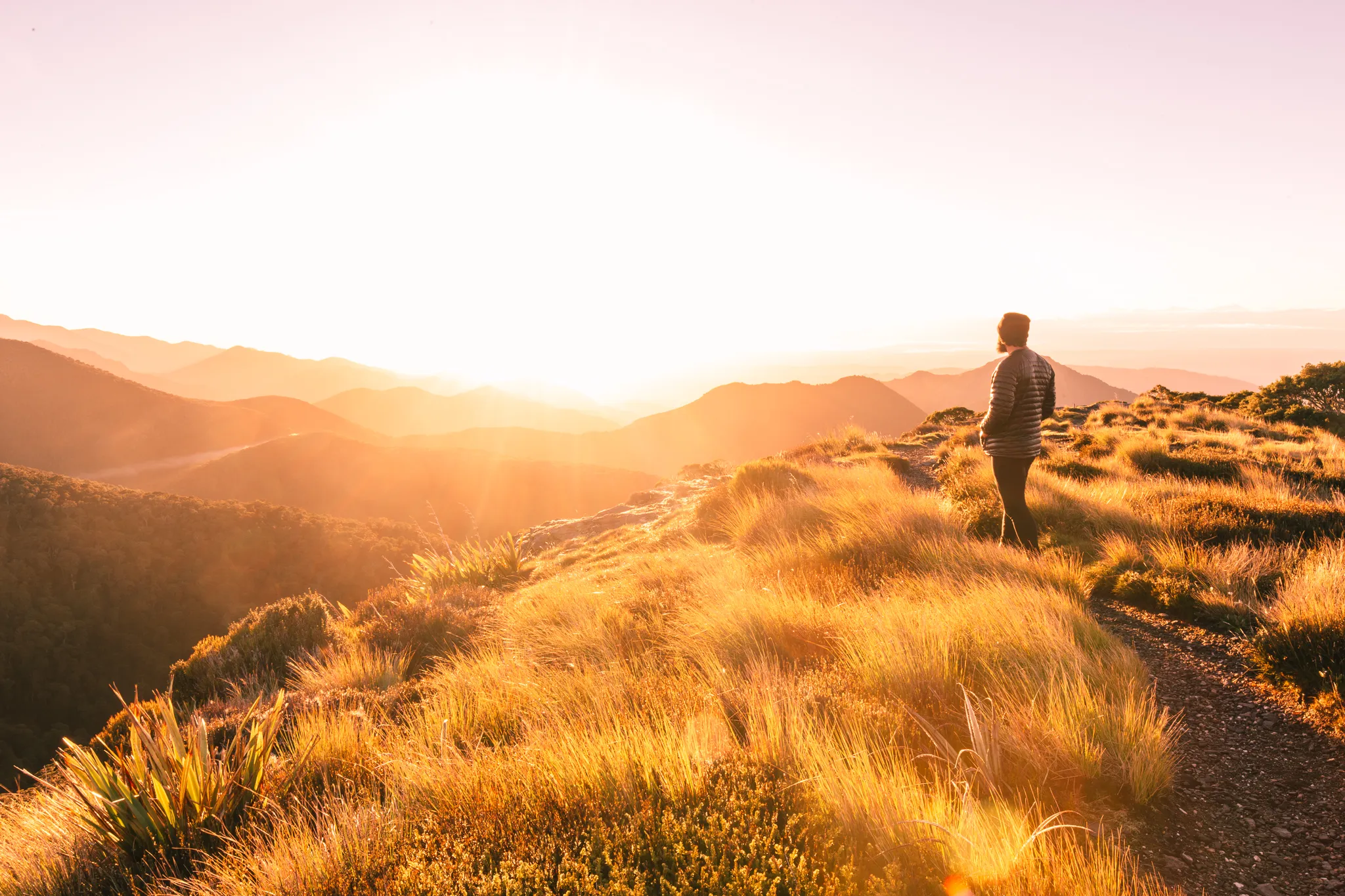 Hike Mount Arthur and the Tablelands