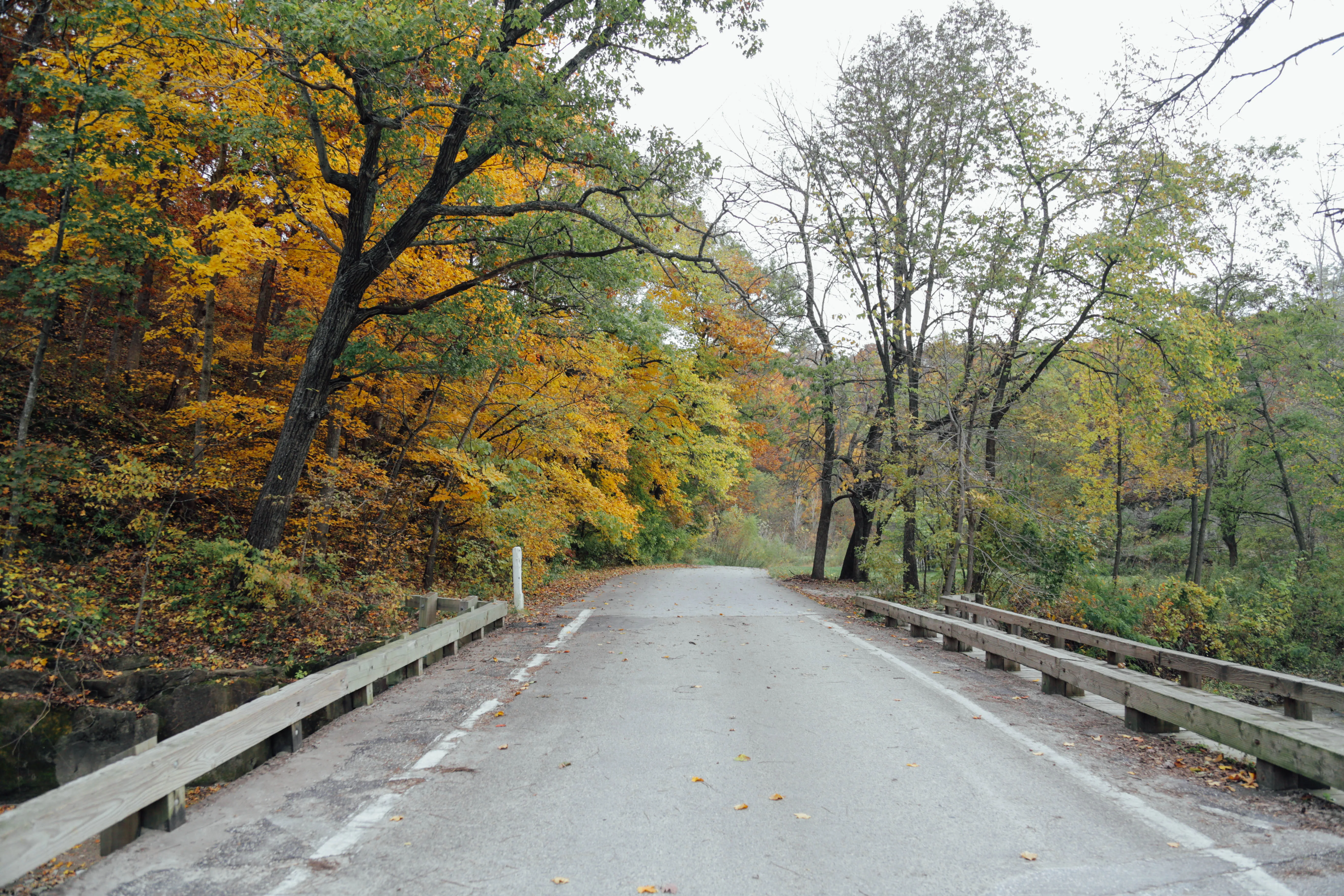 Hike the Canyon Road and Table Rock Loop
