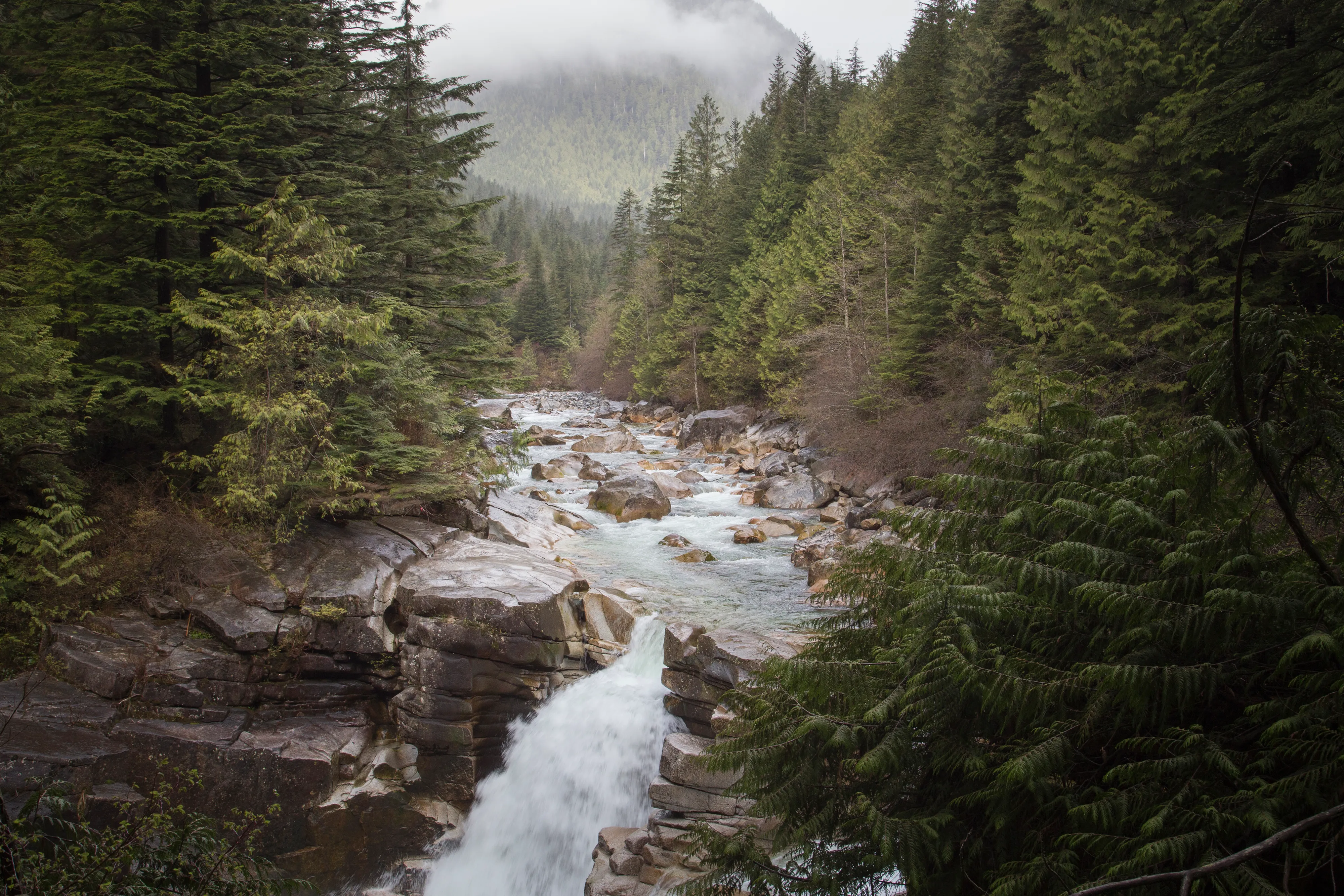 Hiking Upper Gold Creek Falls