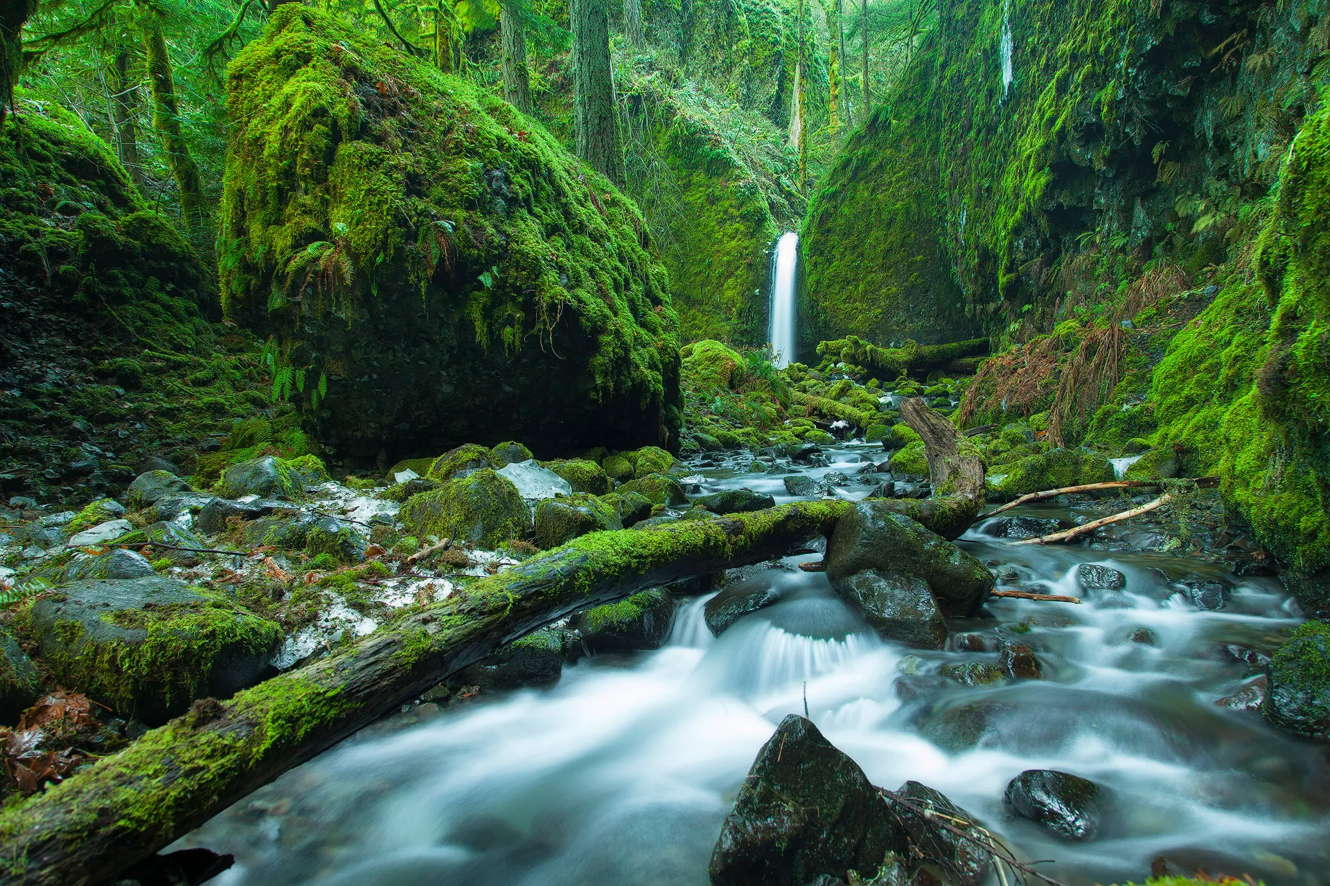 Mossy Grotto Falls (CLOSED)