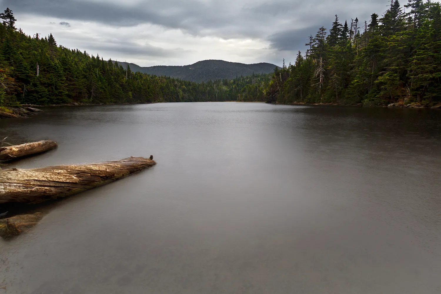 Sterling Pond Trail