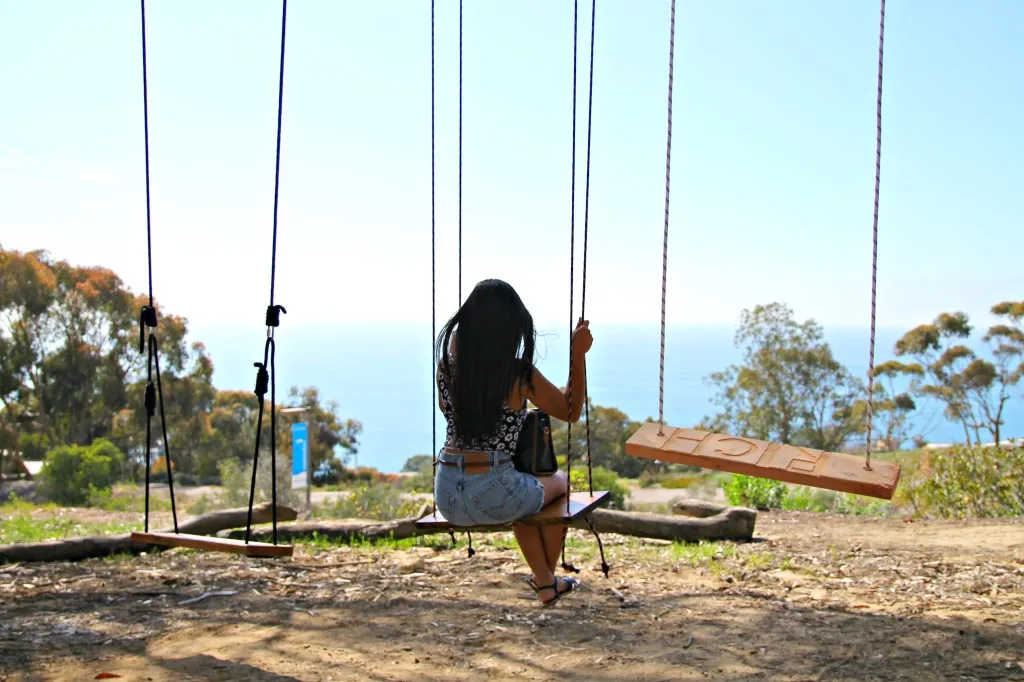 Swing on the La Jolla Tree Swings